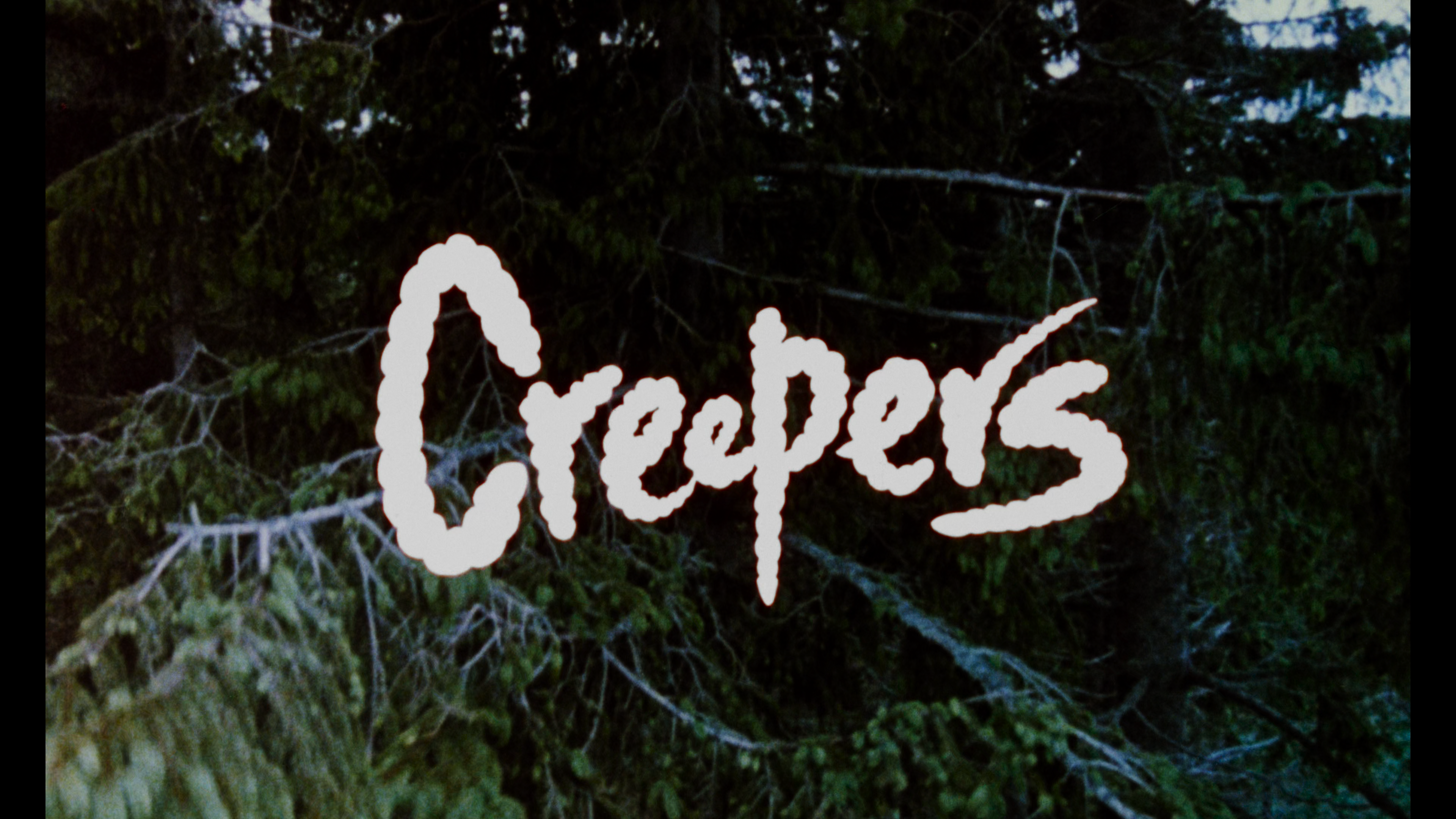 Phenomena 4K Creepers cut cap 1