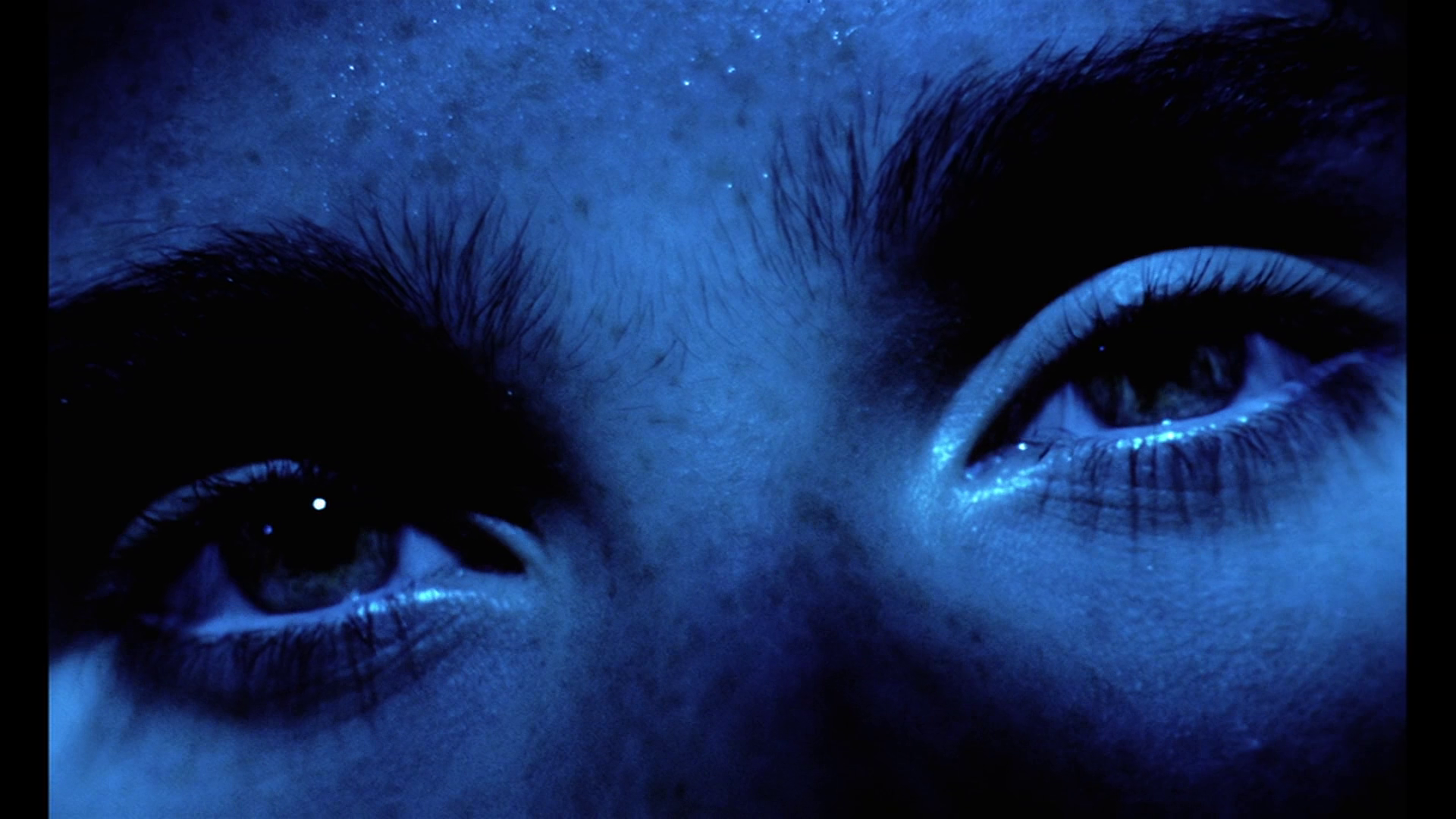 Phenomena 4K US Creepers trailer