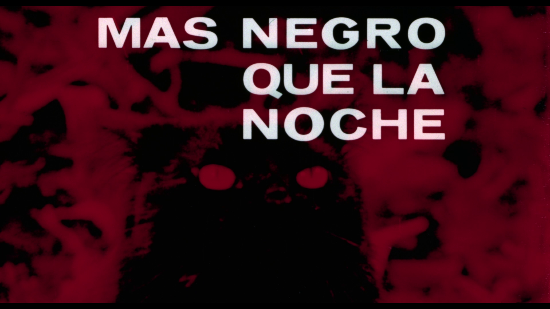 Darker Than Night visual essay