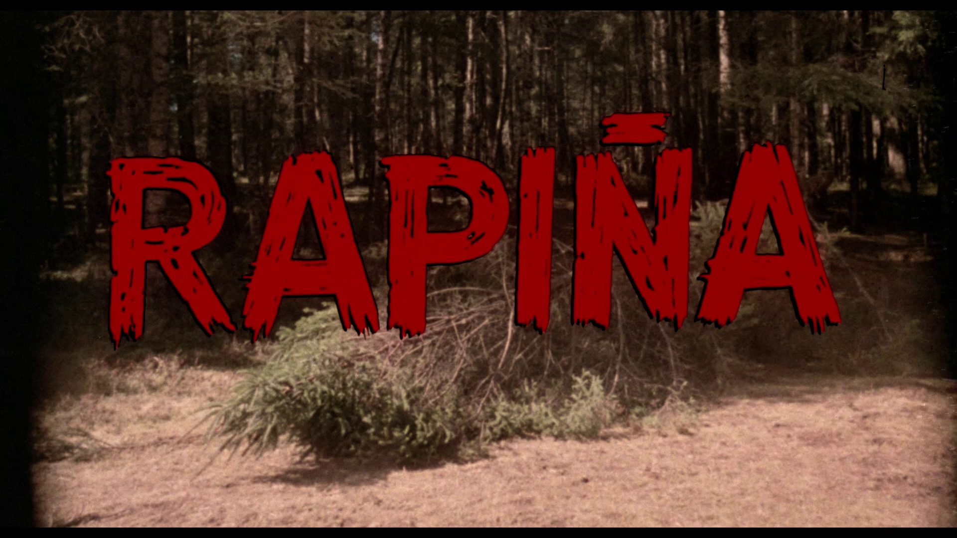 Rapina visual essay
