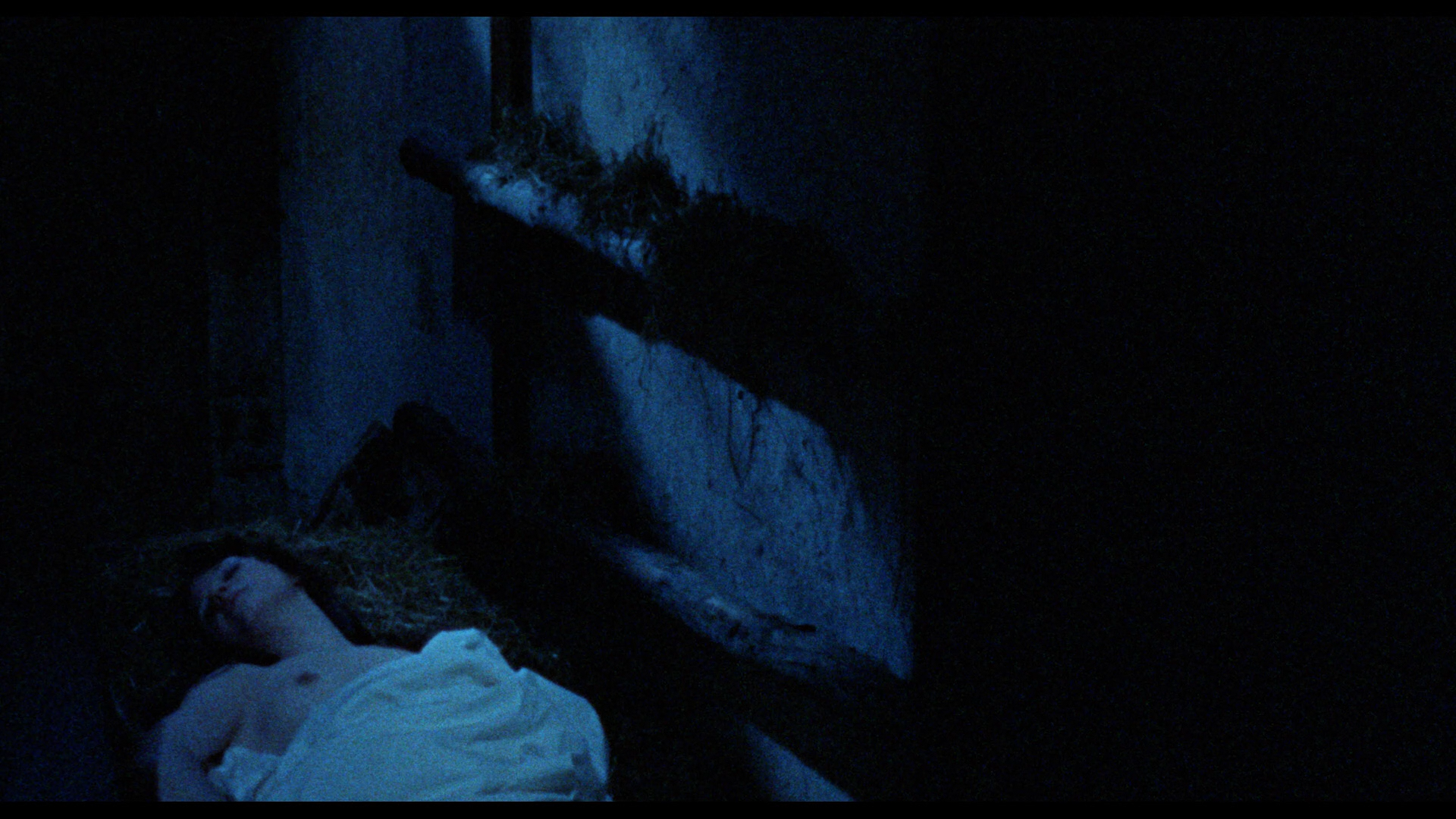 Scream of the Demon Lover cap 9