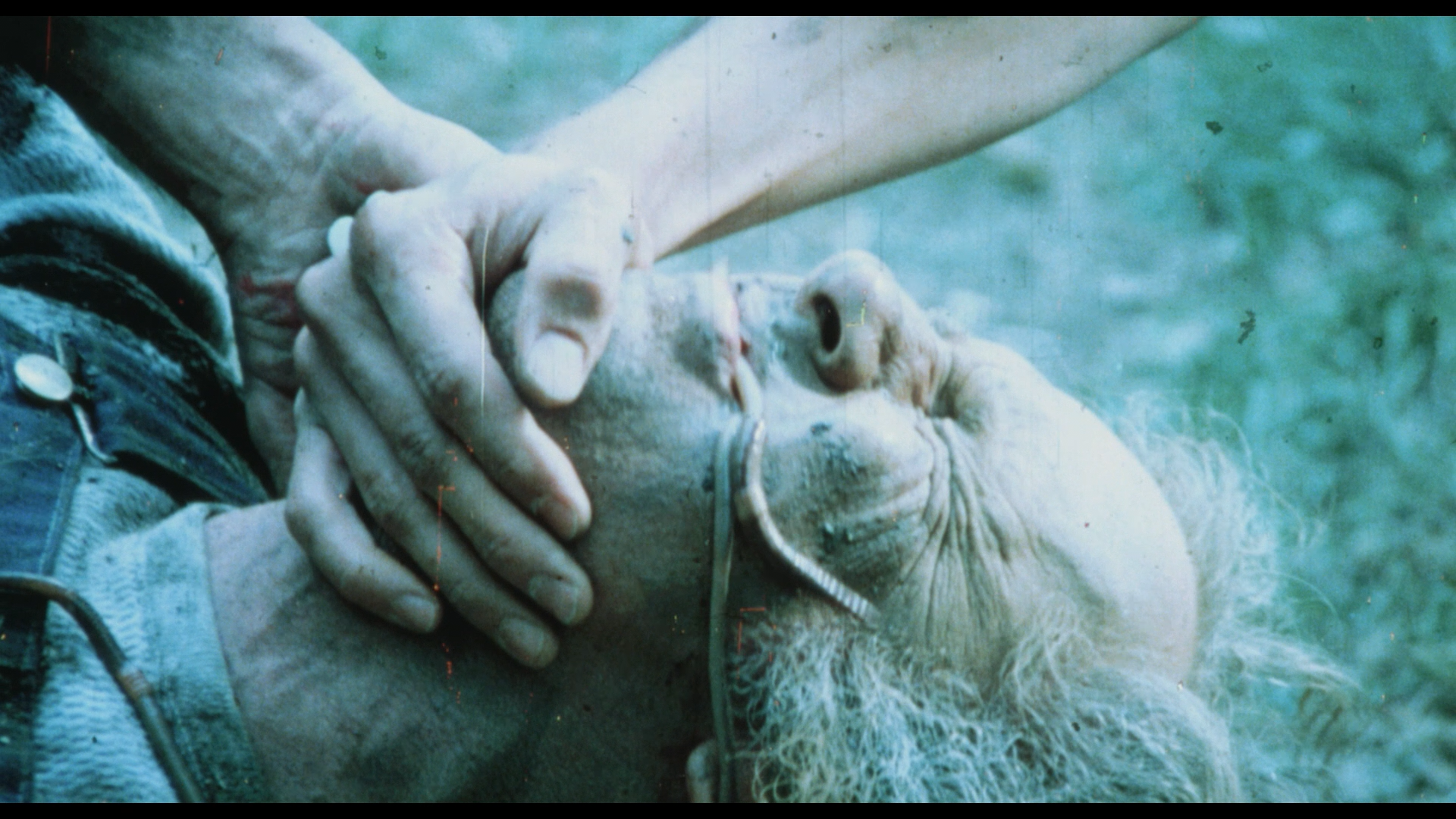 The AGFA Horror Trailer Show screencap 11