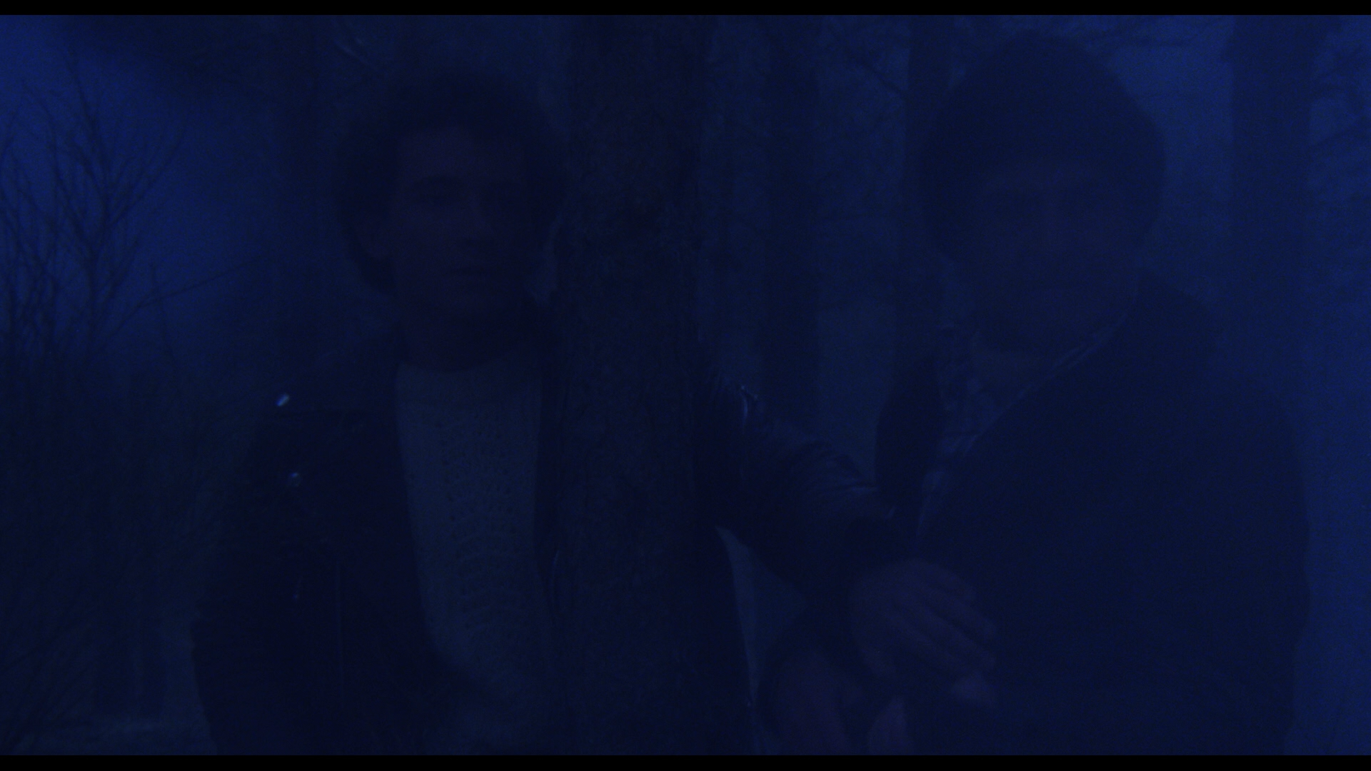 Extra Terrestrial Visitors cap 12