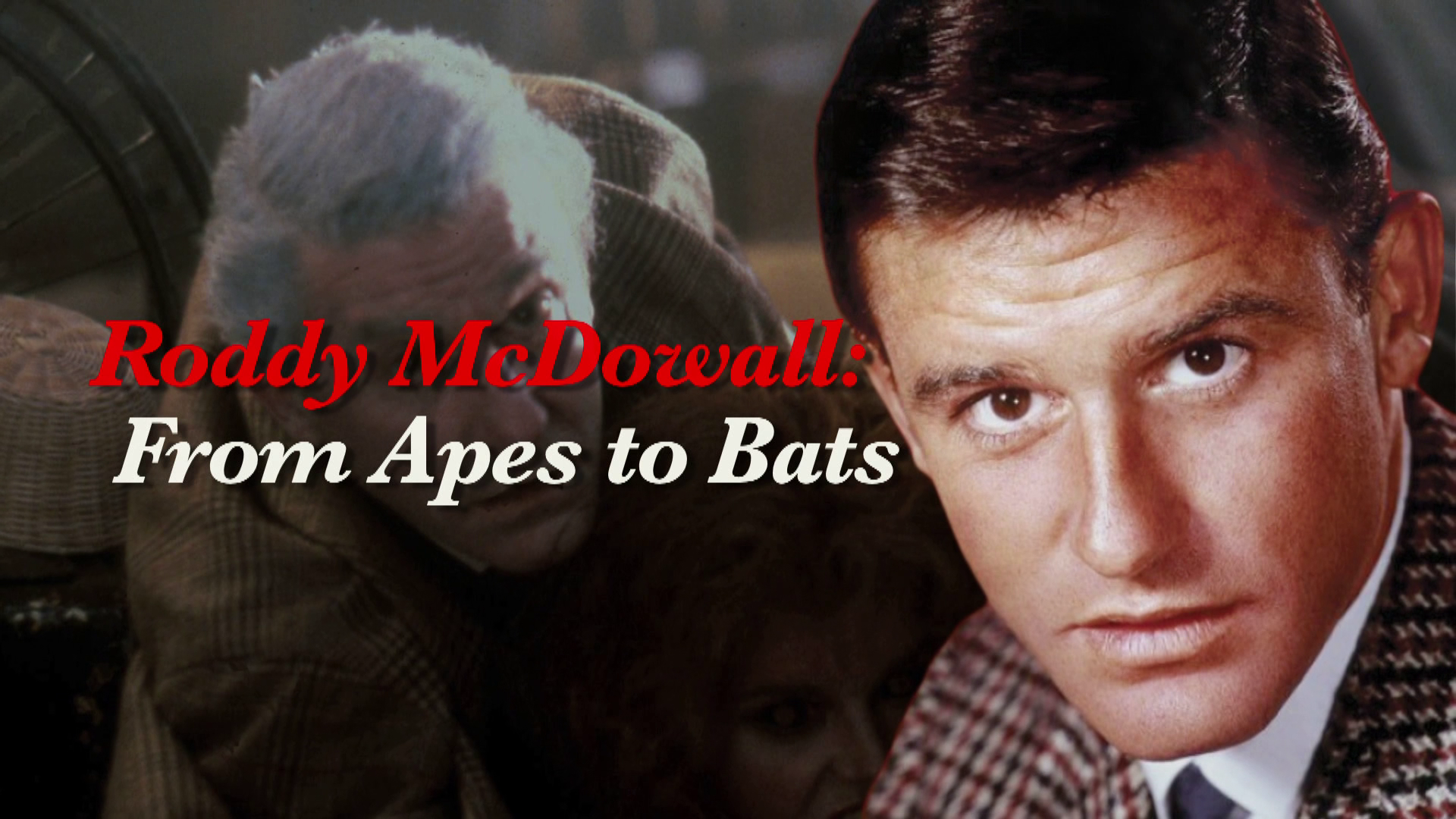 Fright Night 4K Roddy McDowall: From Apes to Bats featurette