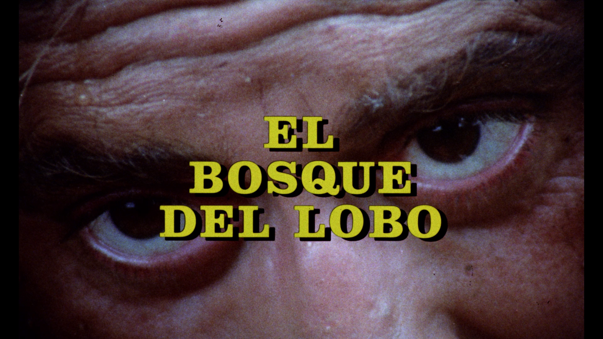 El Bosque del Lobo cap 1