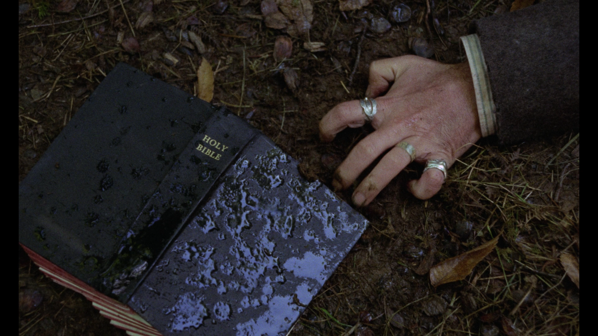 El Bosque del Lobo cap 5