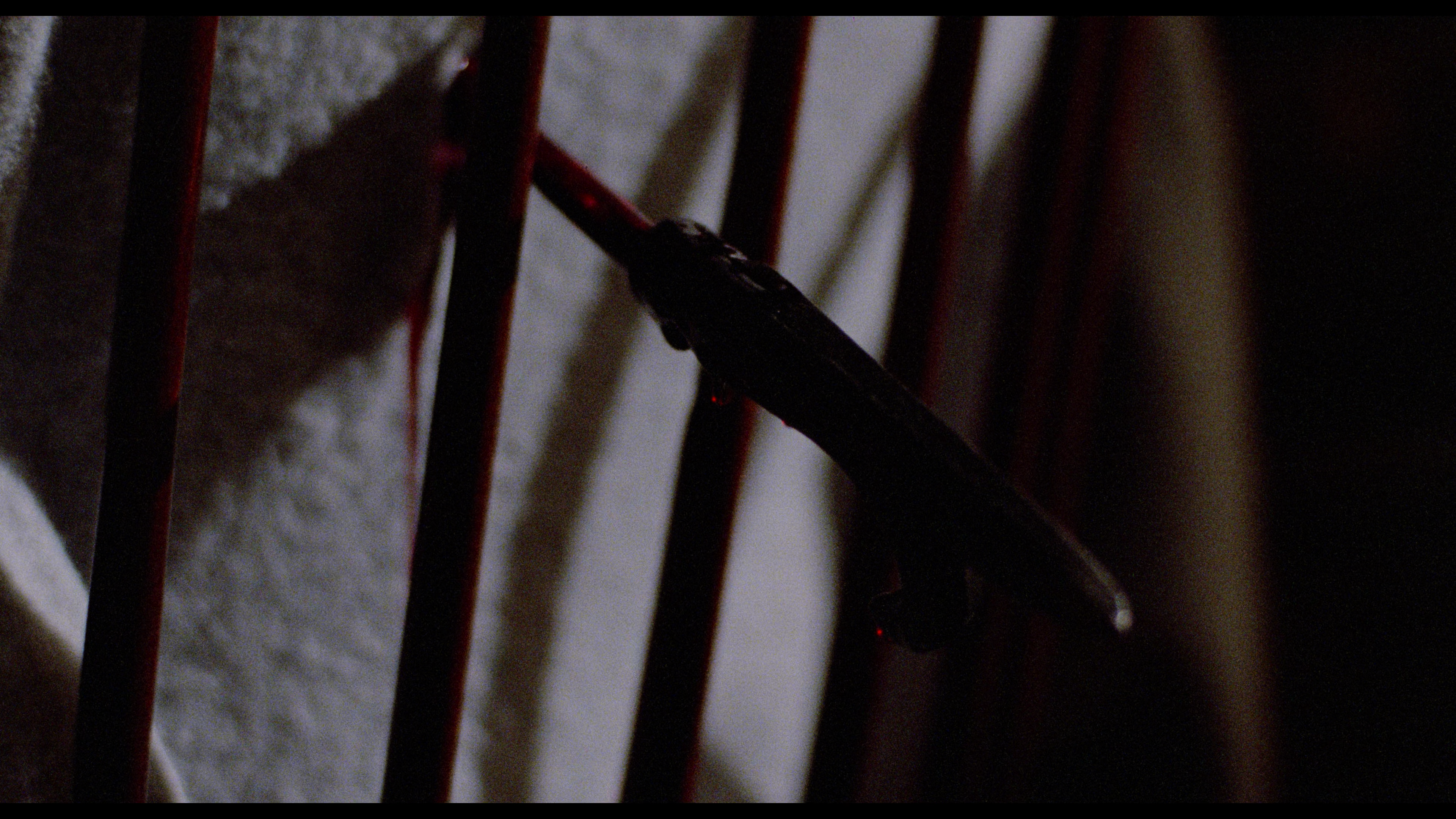 Night Screams 4K cap 3