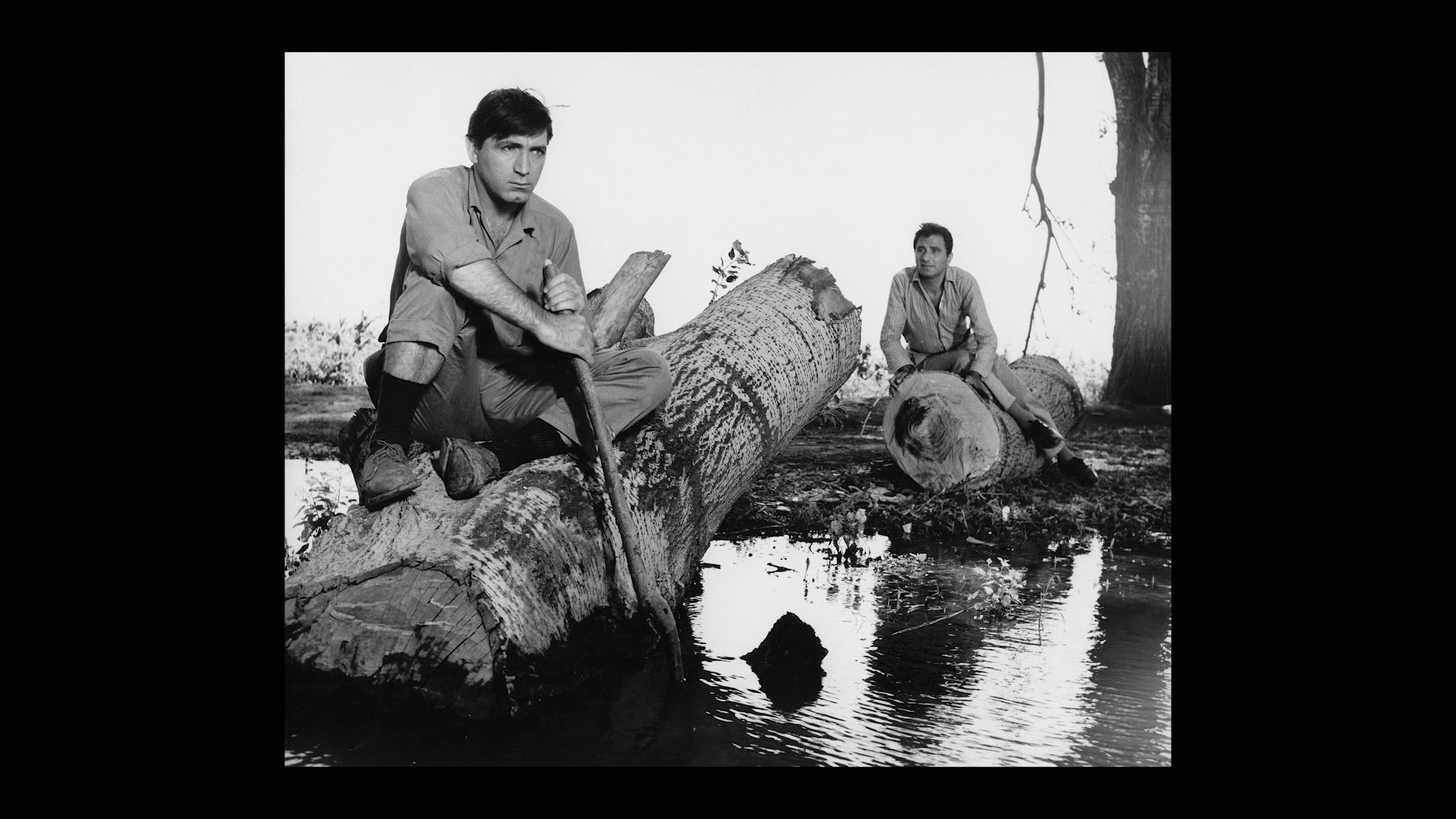 The Fear stills and poster gallery