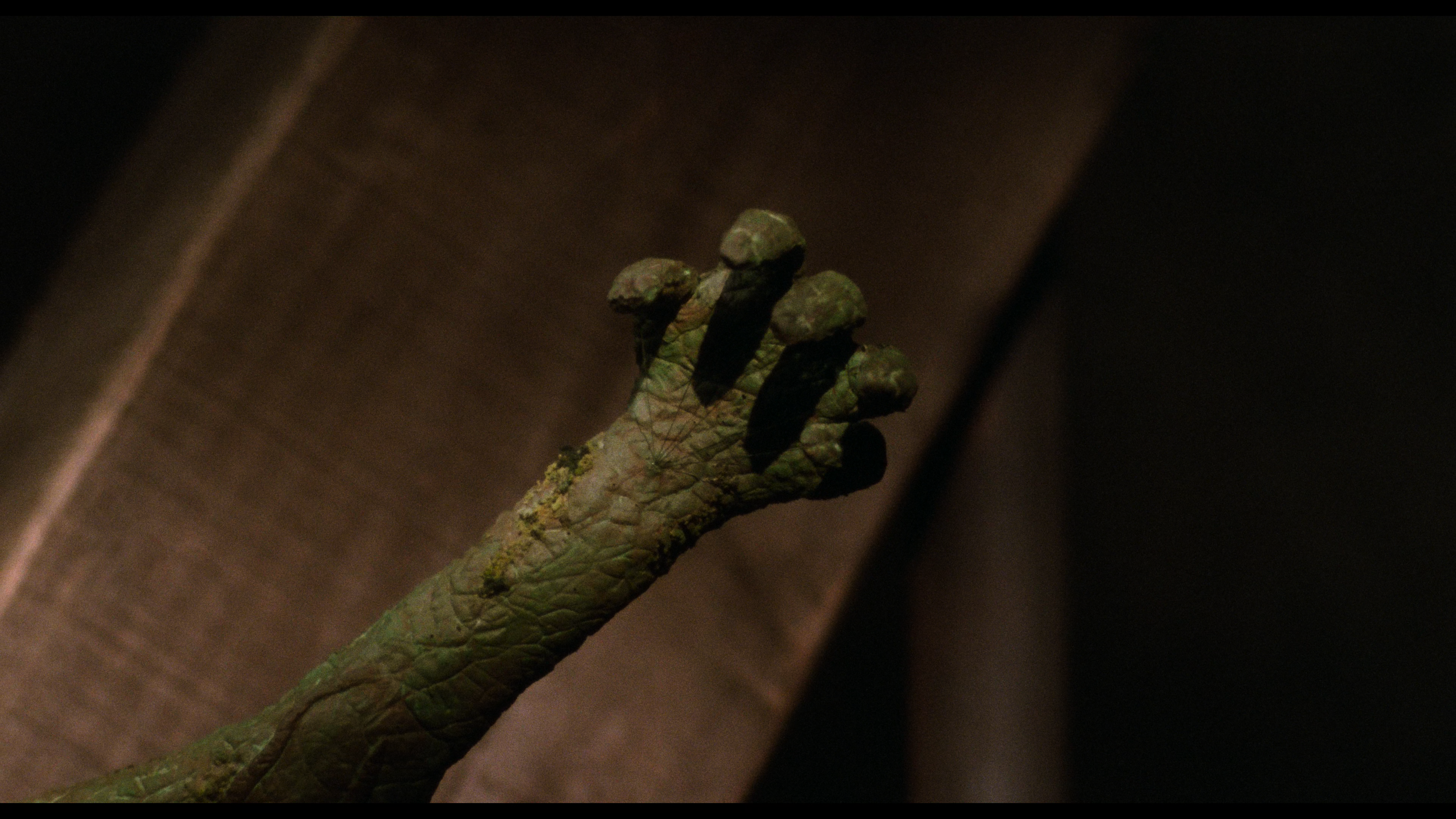 Swamp Thing theatrical cut 4K cap 6