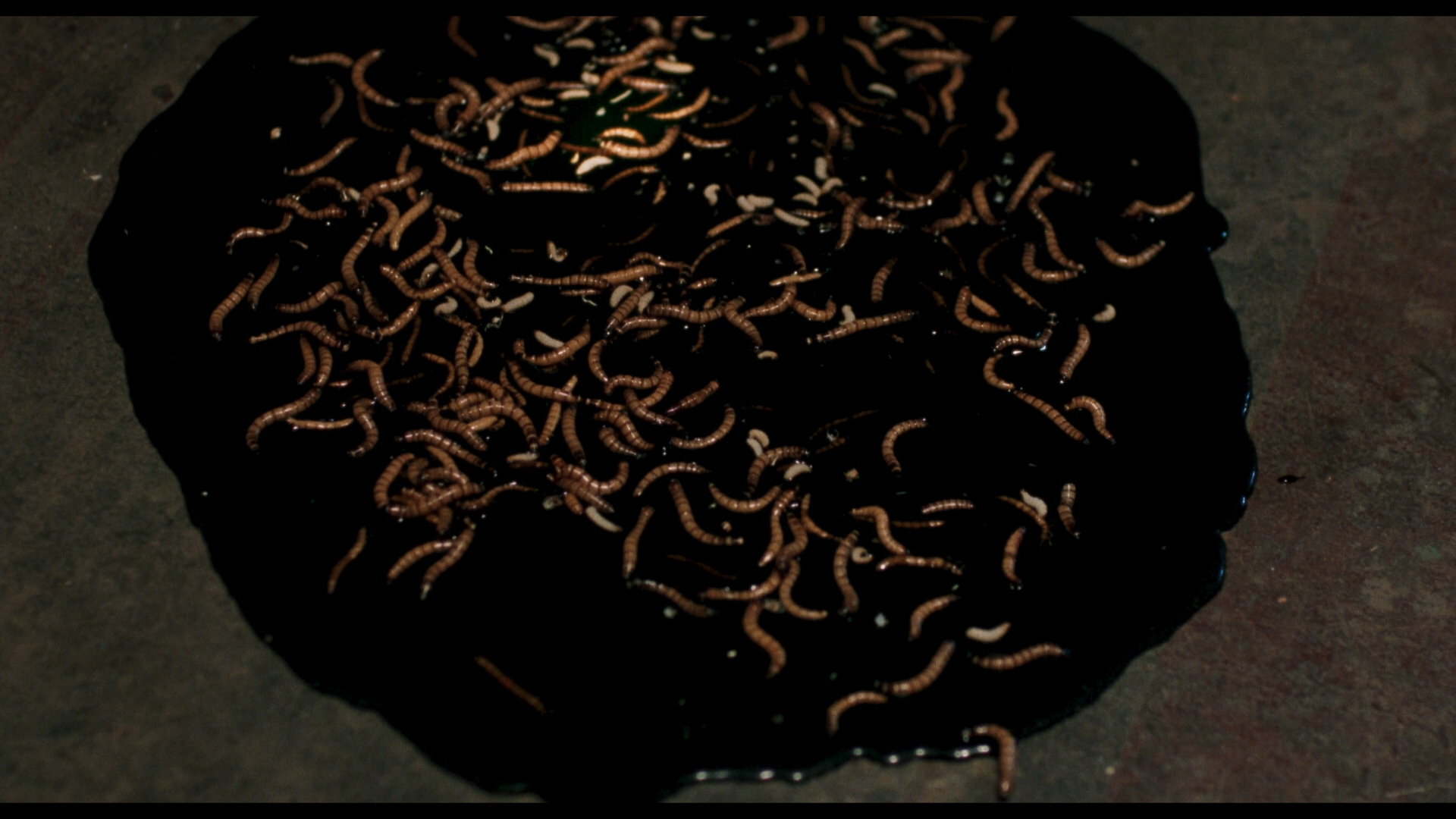 Night of the Demons 2 cap 7