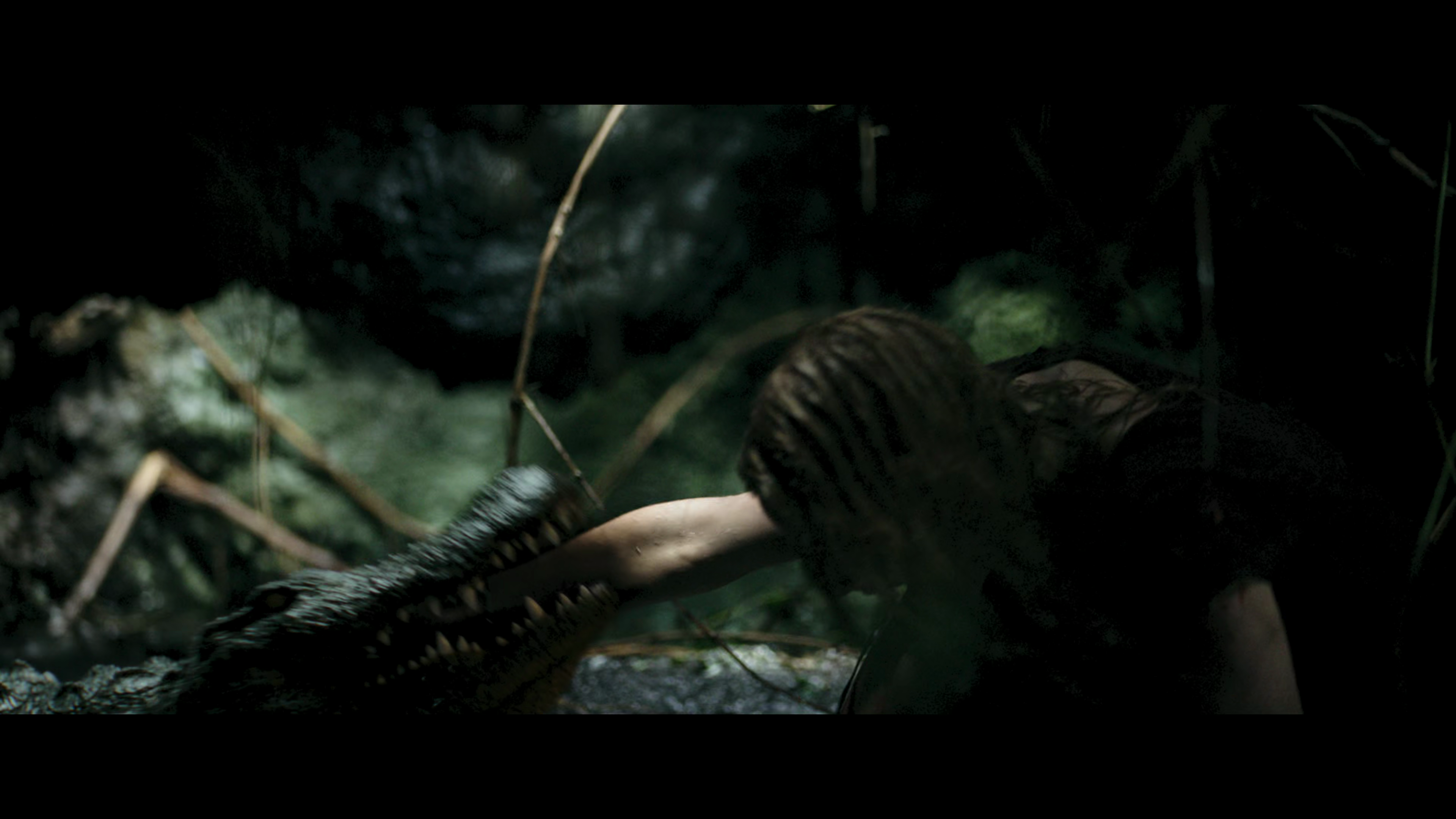 Crawl 4K alligator attacks