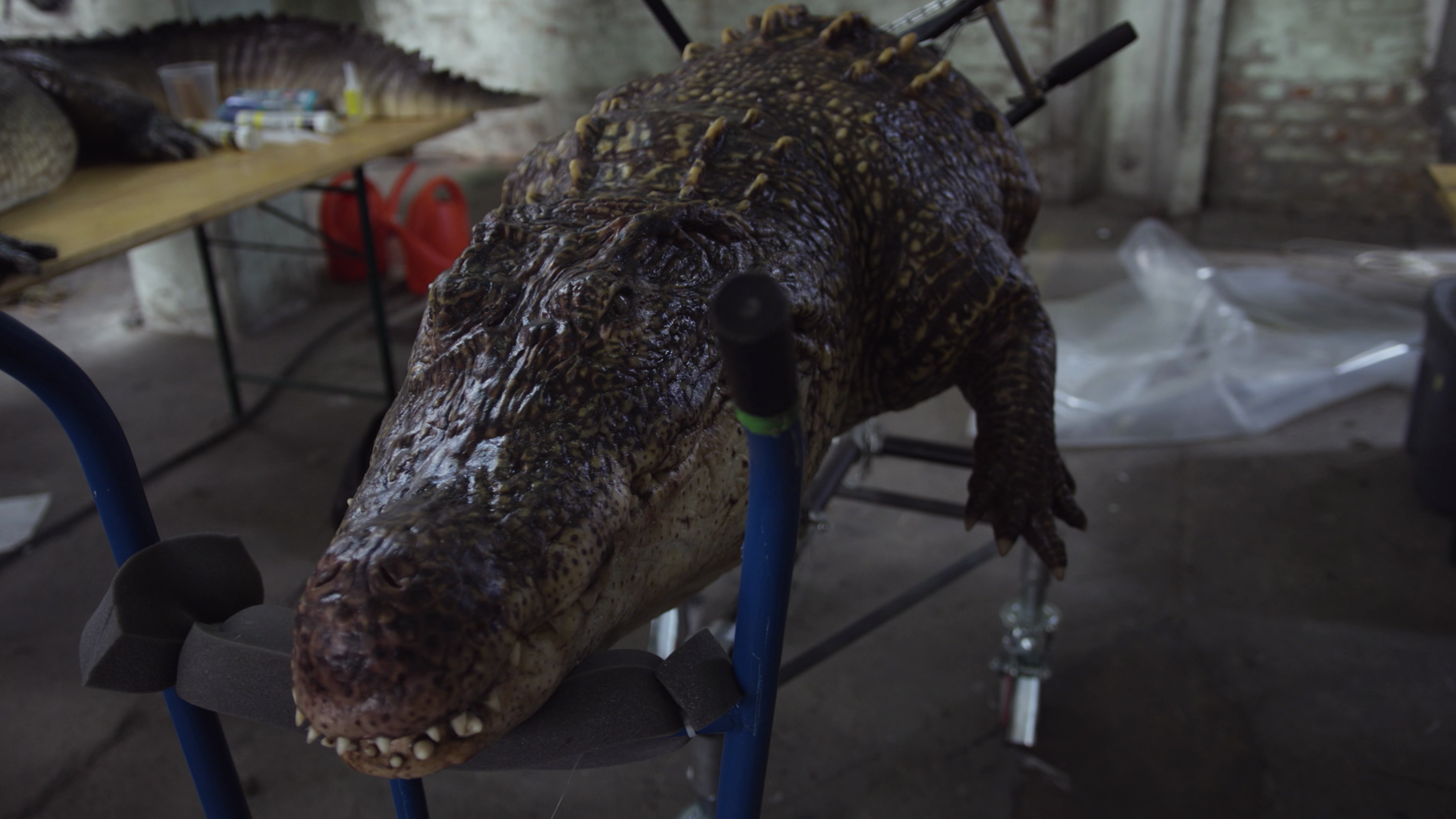 Crawl 4K Category 5 Gators featurette