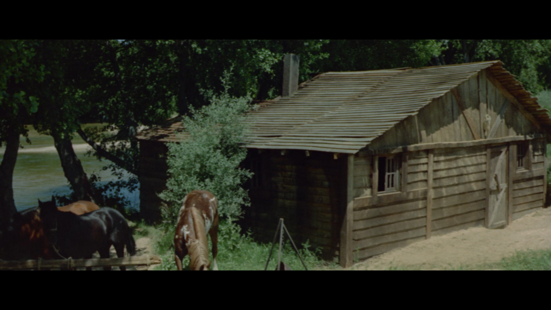 A Bullet for Sandoval Blu-ray screencap 10