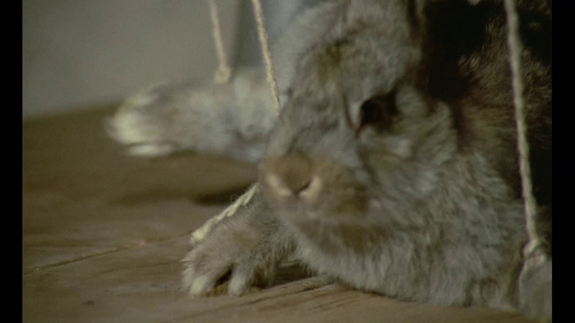 Mark of the Devil 4K outtakes