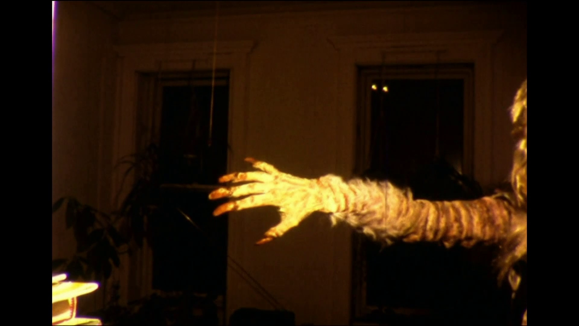 Mother's Day 4K 8mm behind the scenes