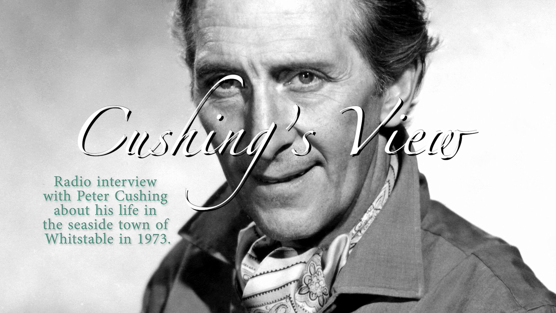 Cone of Silence Cushing's View radio interview