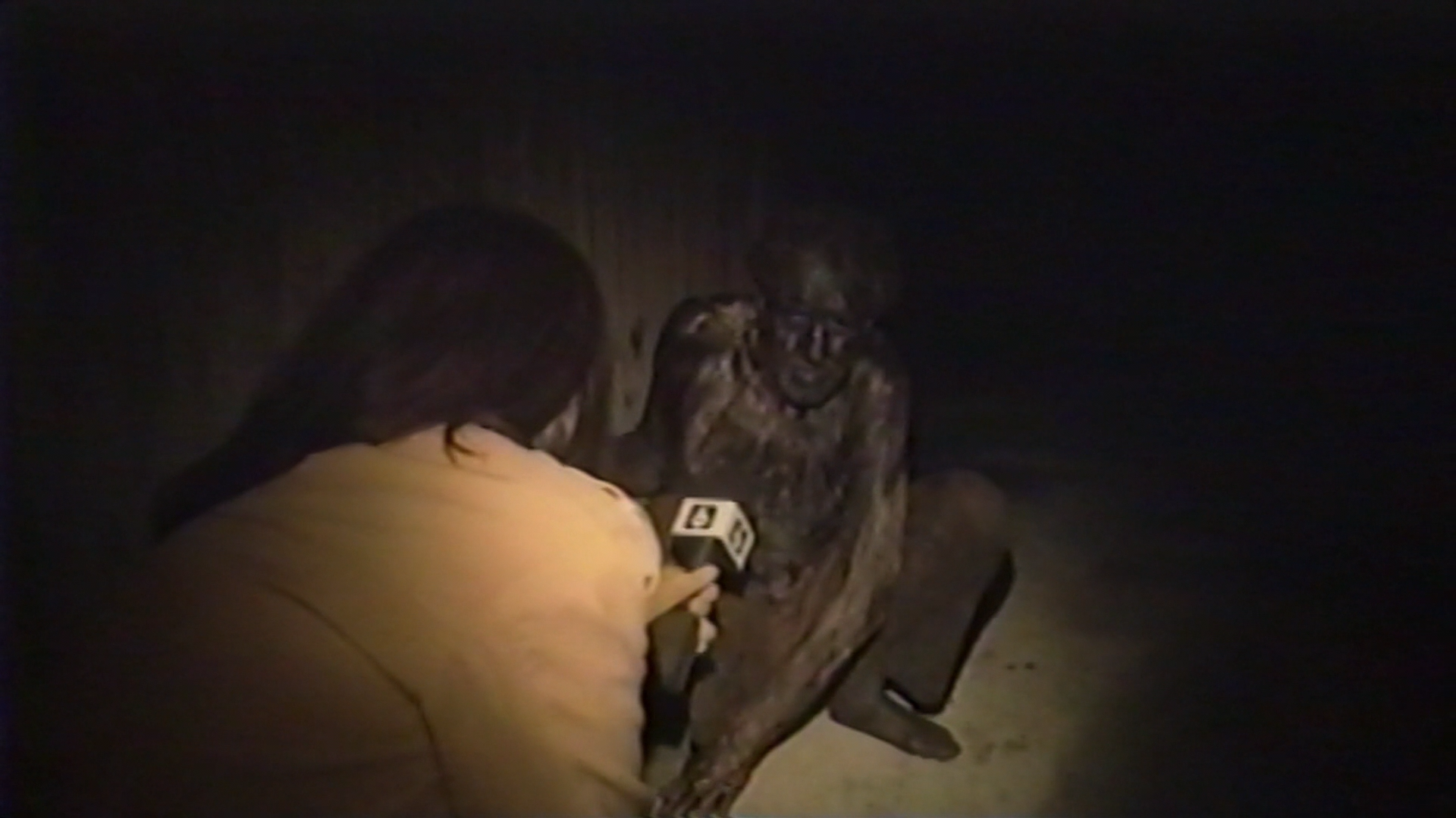 VHS 94 Blu-ray screencap 3