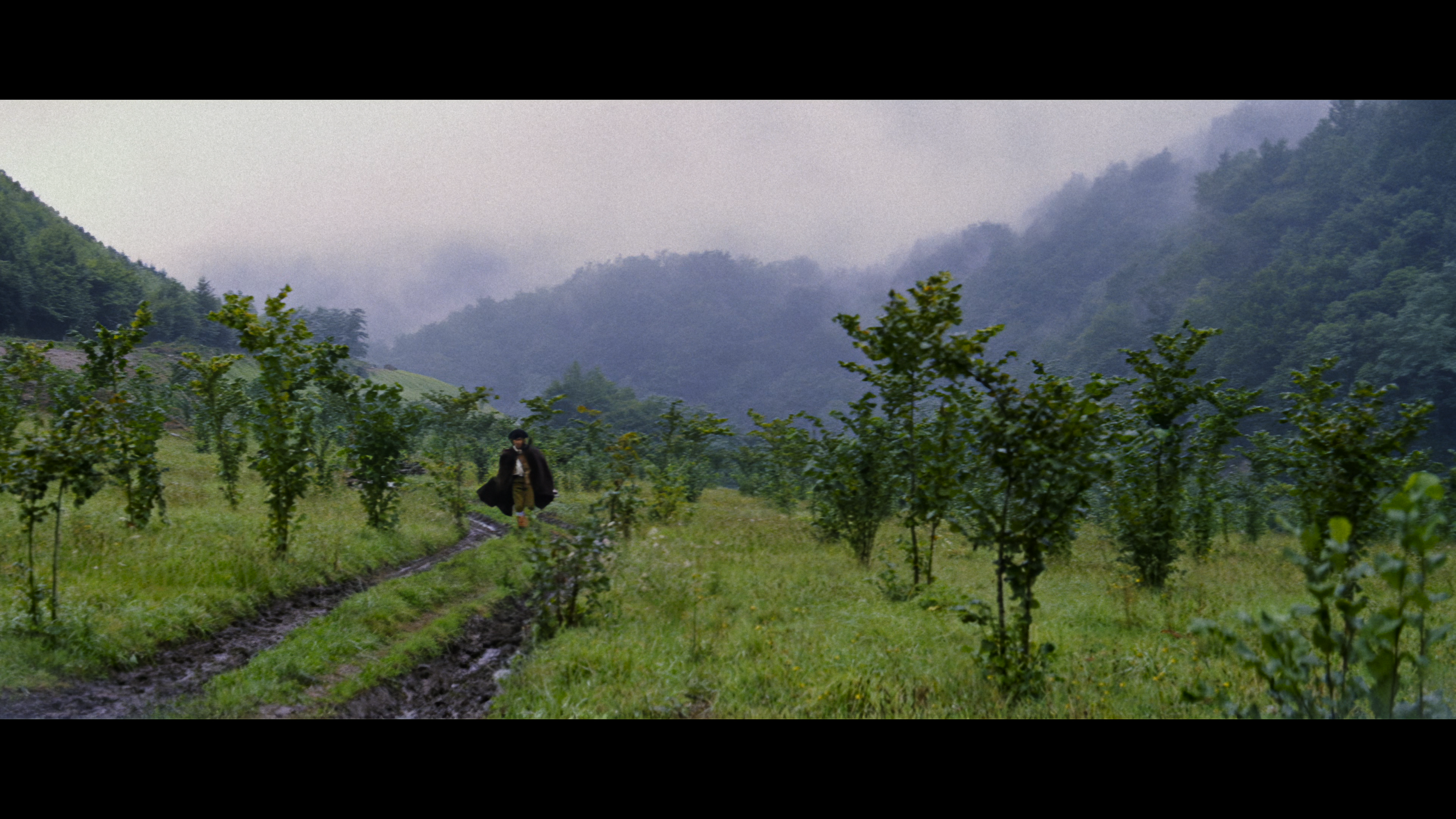 Night of the Blood Monster 4K cap 3