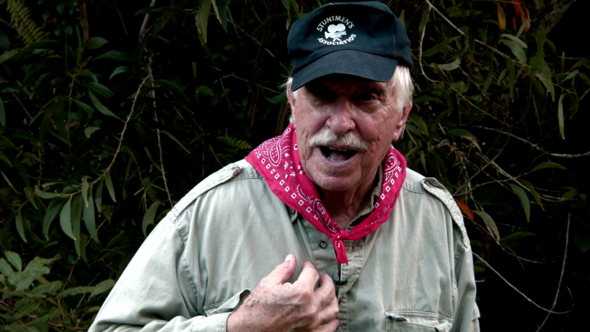 Impulse Swamp Man William Grefe interview