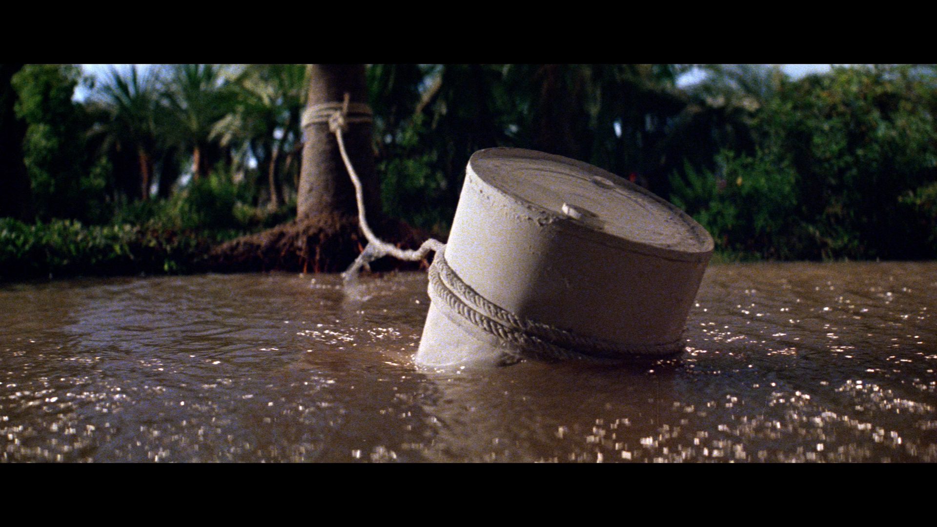 Crocodile Blu-ray screencap 7