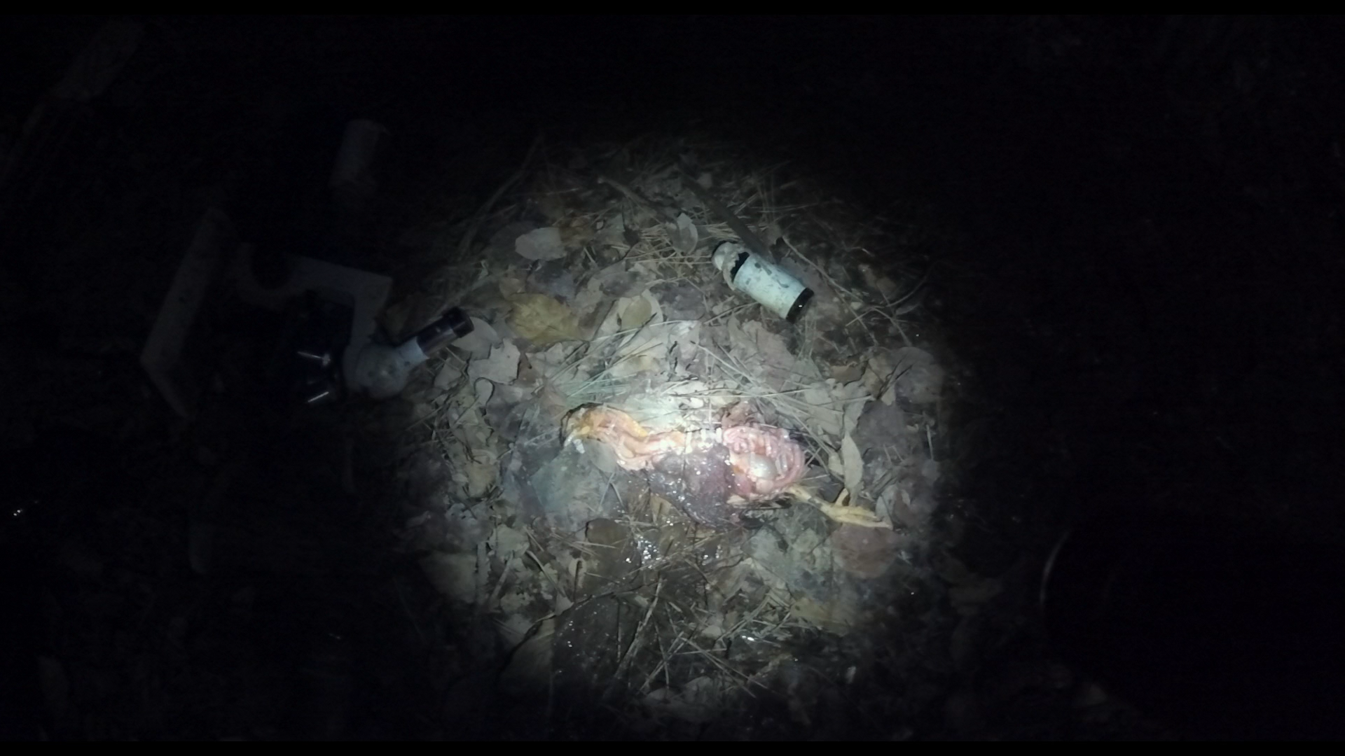 Gonjiam: Haunted Asylum Blu-ray screencap 9