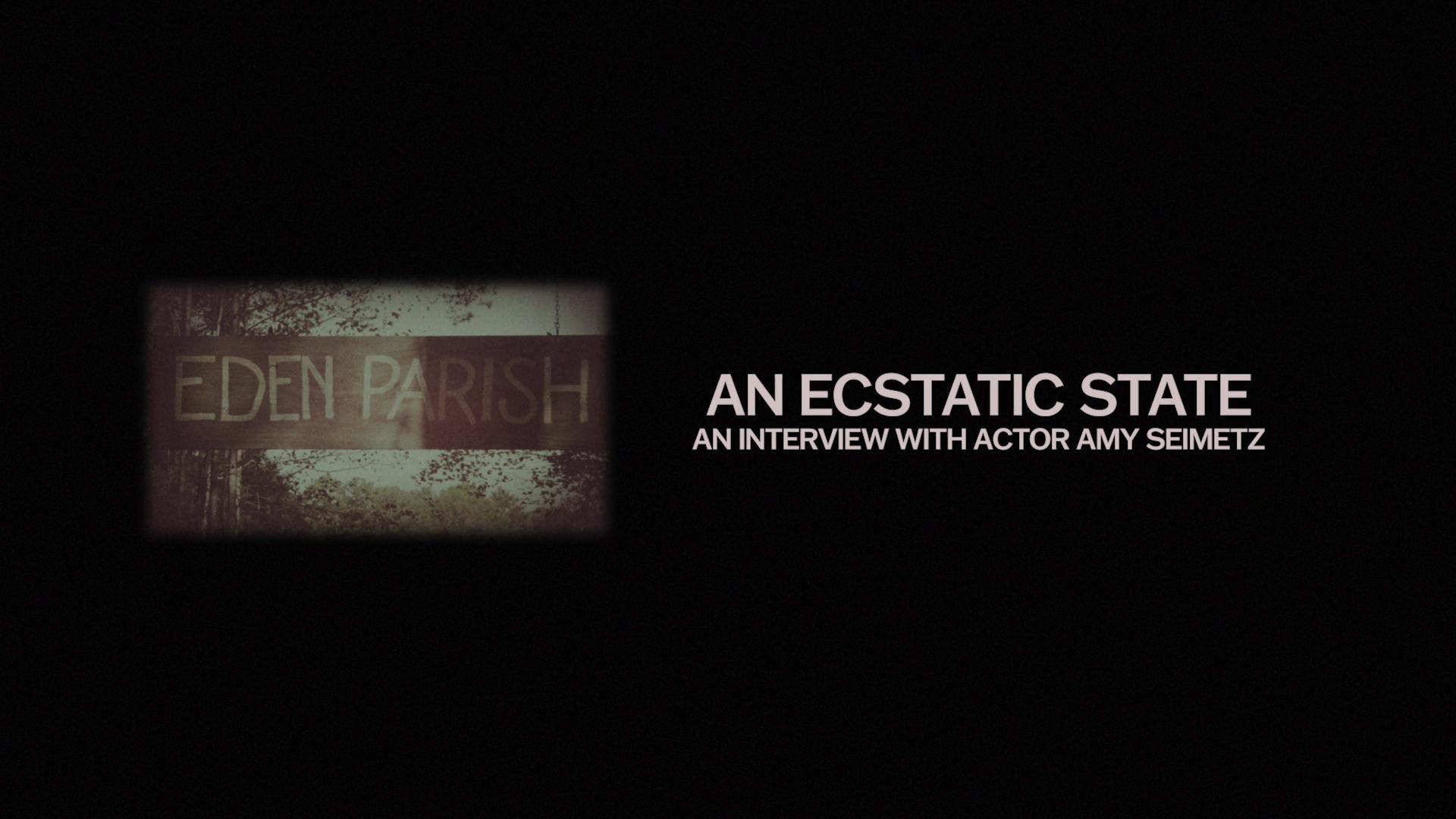 An Ecstatic State: A new interview with Actor Amy Seimetz
