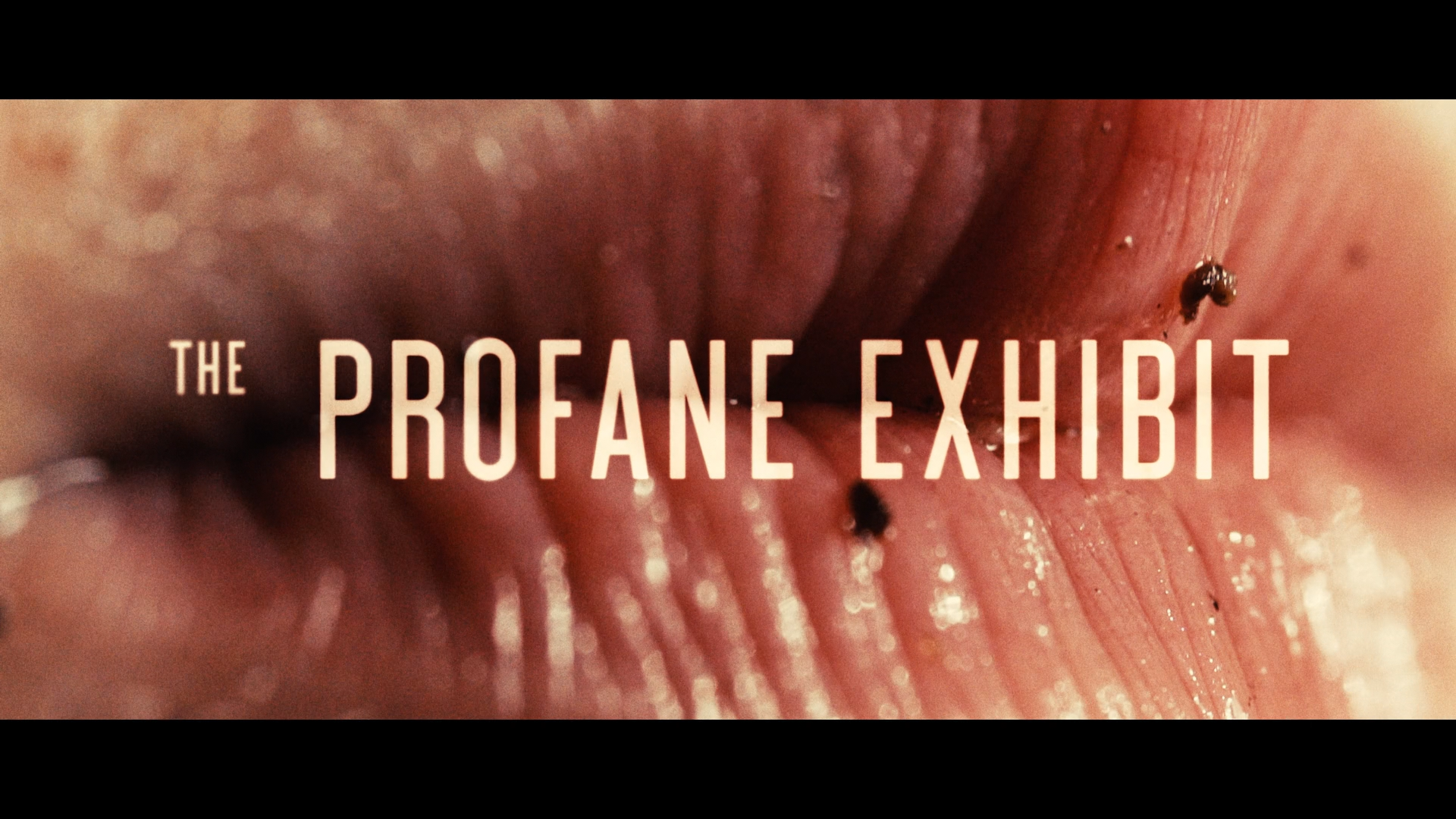 The Profane Exhibit cap 1
