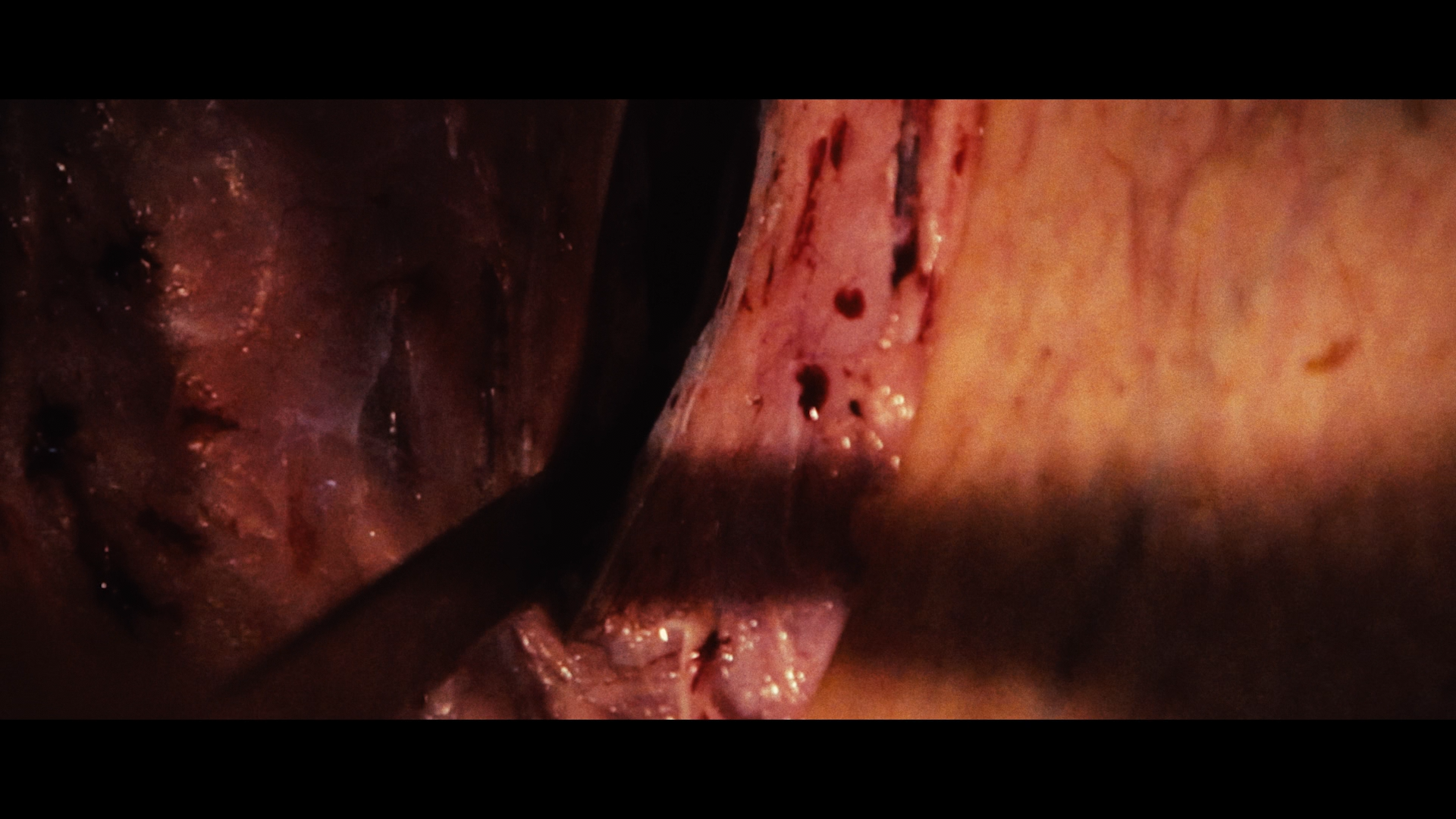 The Profane Exhibit cap 9