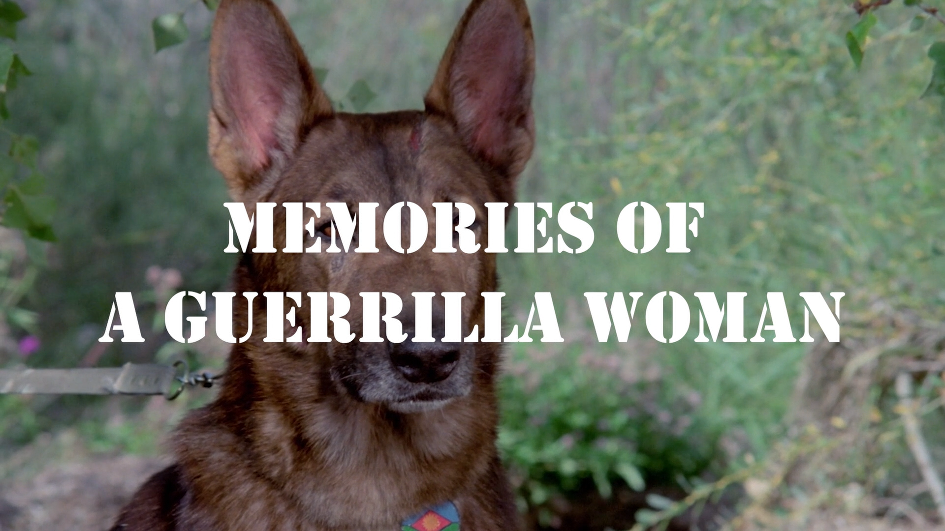 Memories Of A Guerilla Woman – Interview With Actress Marisa Paredes