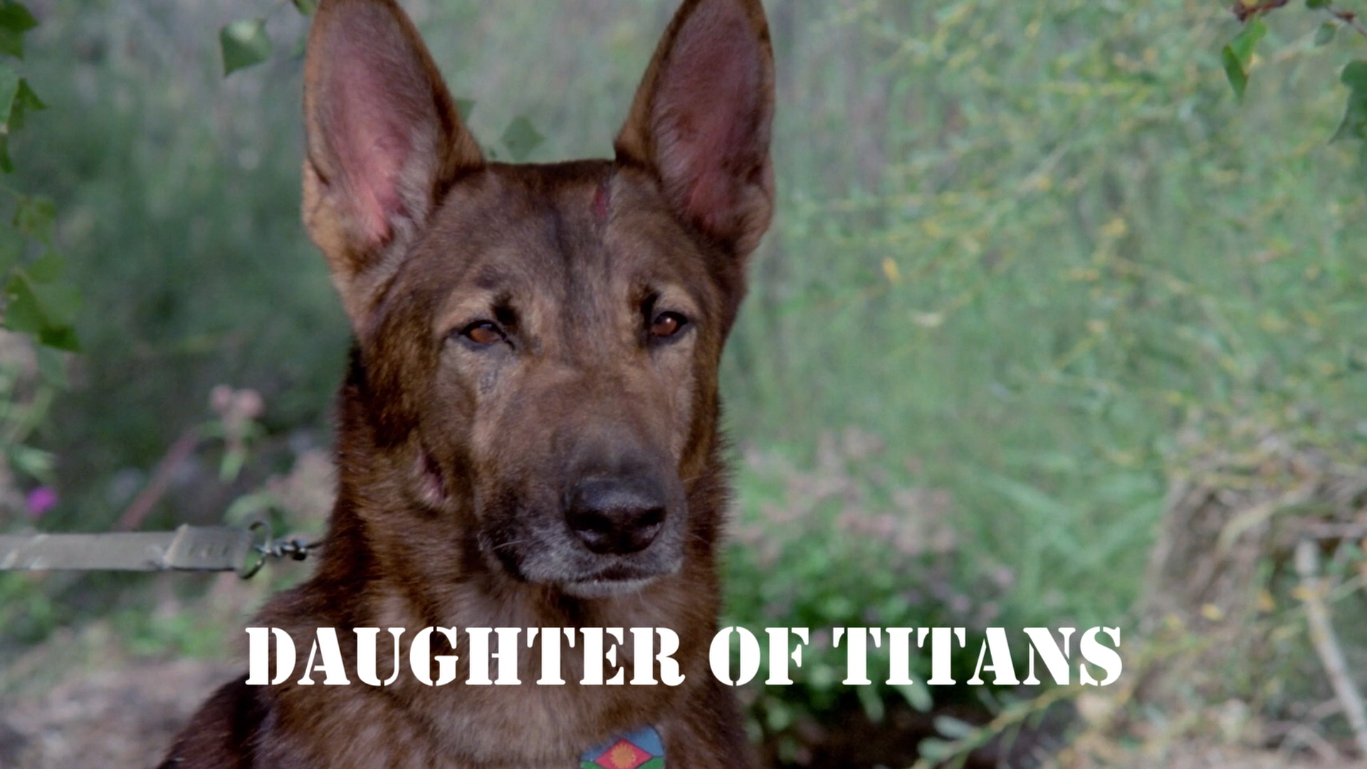 Daughter Of Titans – Interview With María Isasi, Daughter Of Director Antonio Isasi And Actress Marisa Paredes