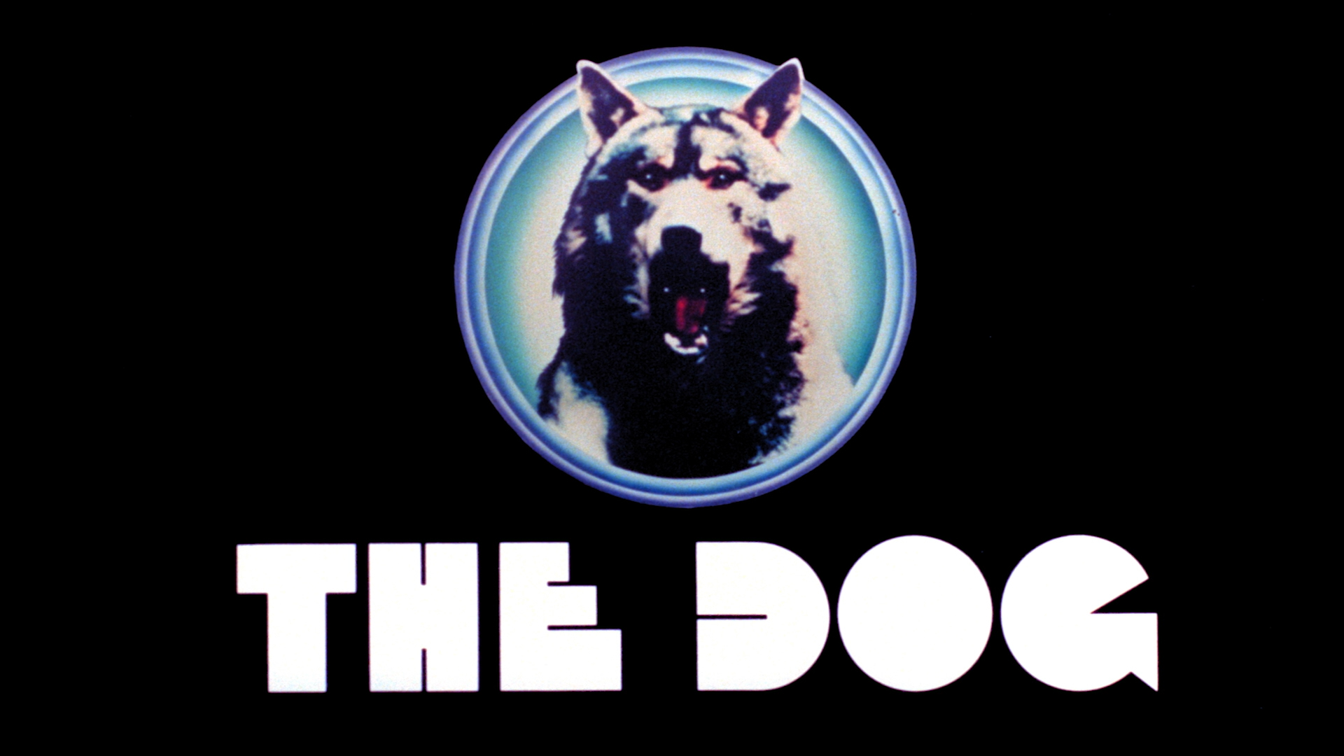 A Dog Called... Vengeance Blu-ray screencap 1