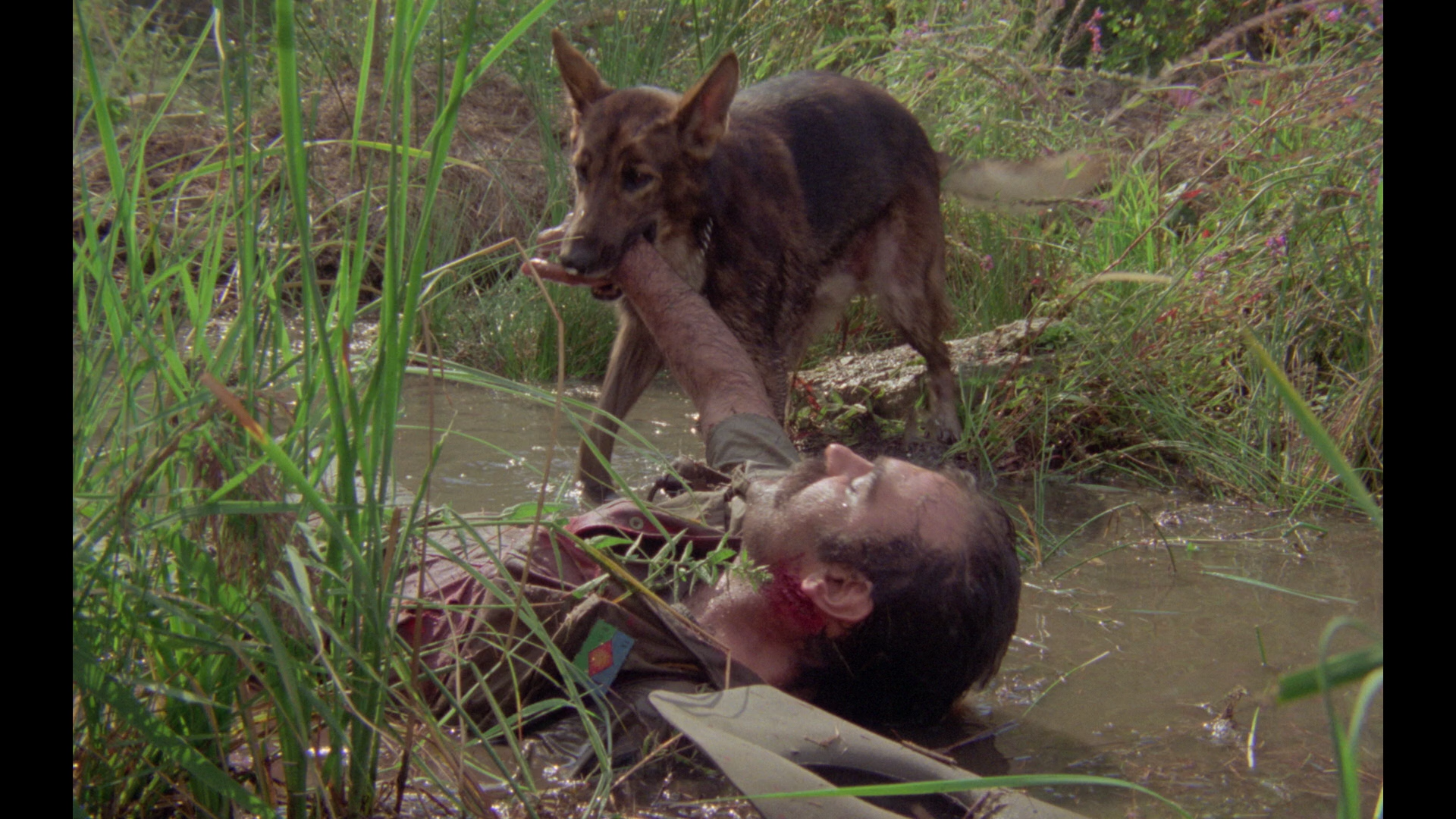 A Dog Called... Vengeance Blu-ray screencap 4