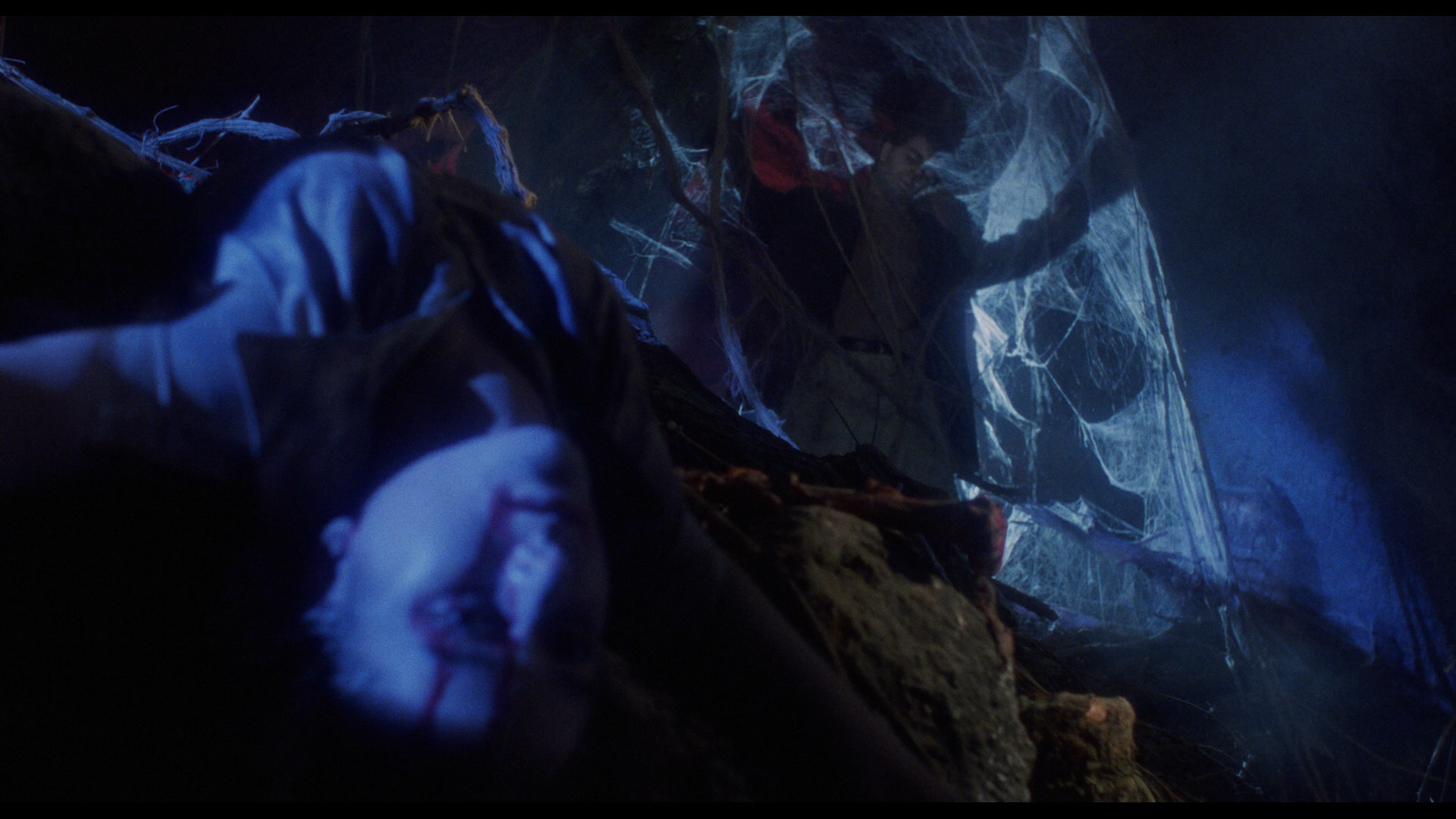 Spider Labyrinth Blu-ray cap 5