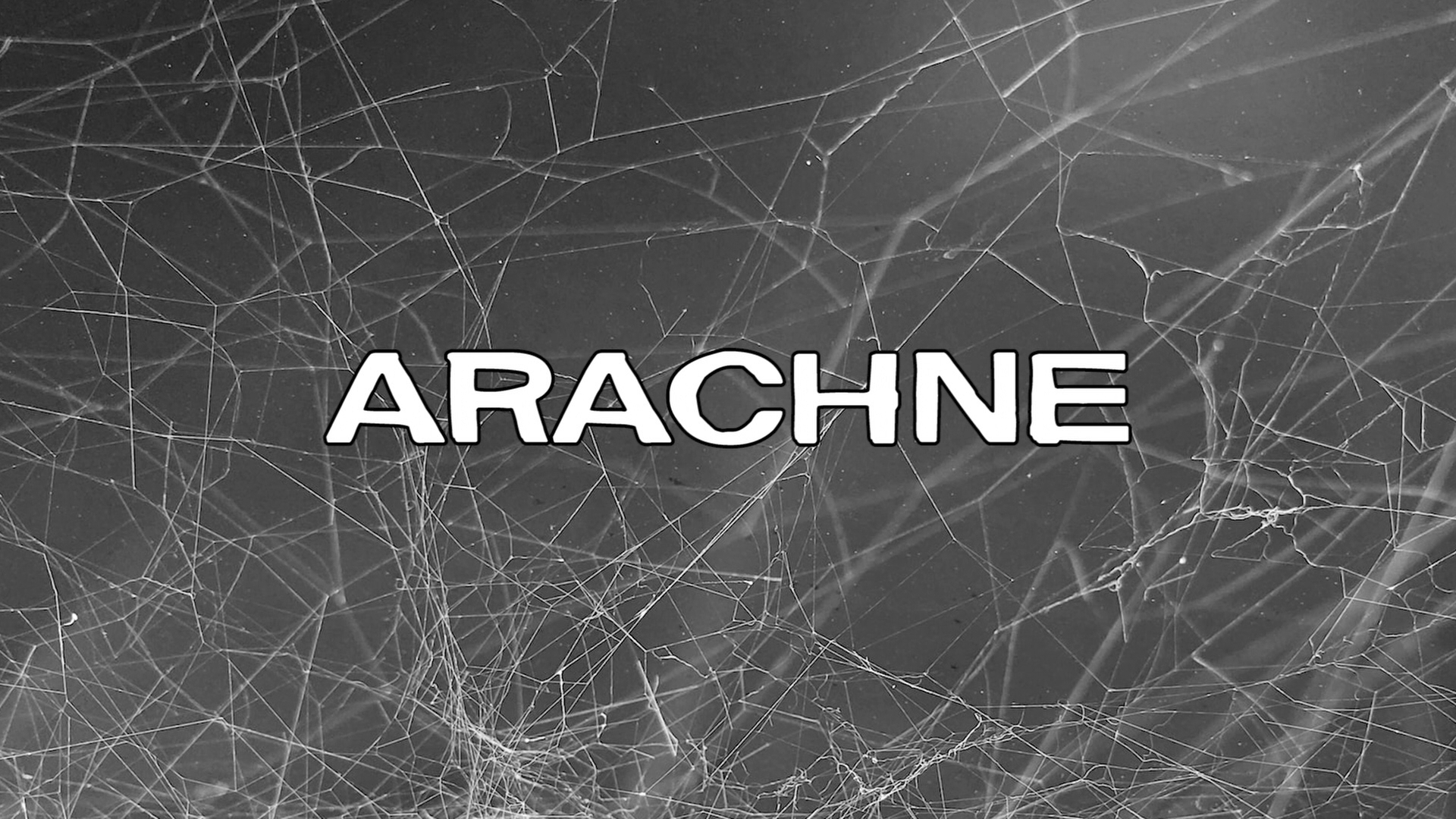 Spider Labyrinth 4K Gianfranco Manfredi interview