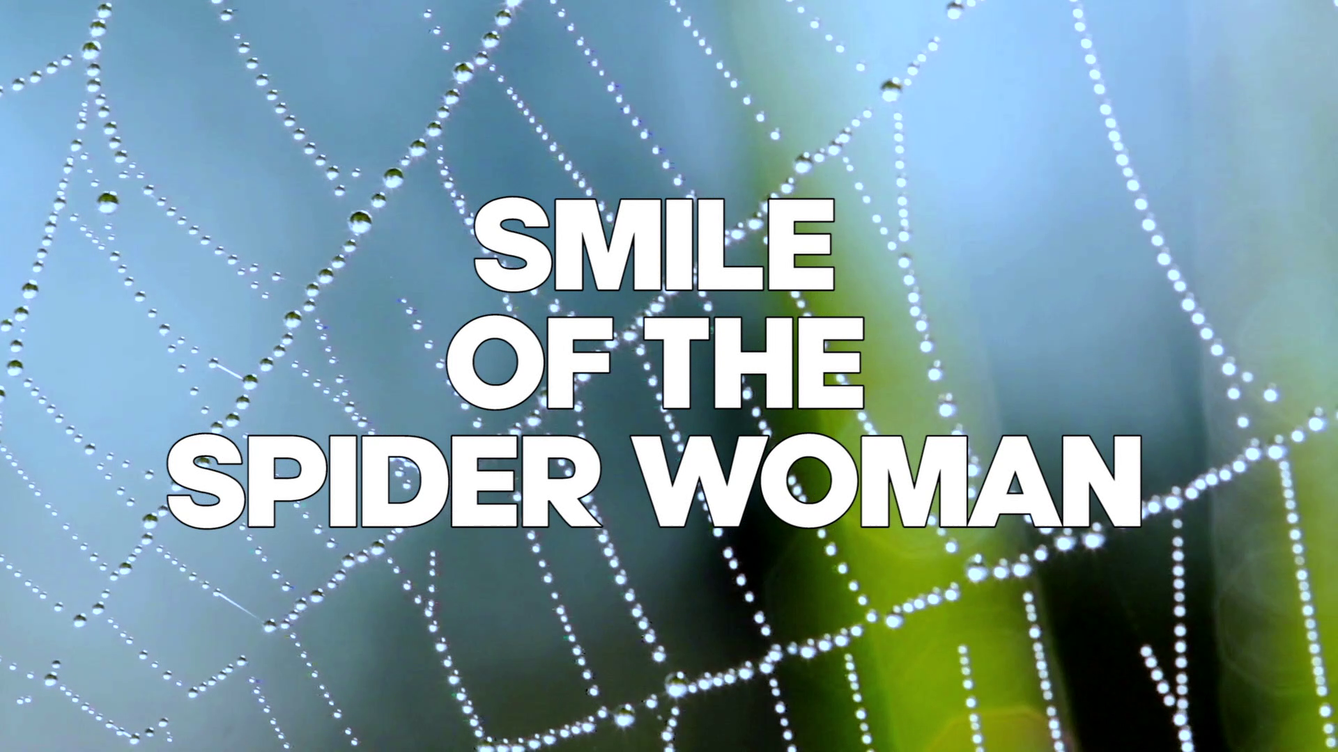 Spider Labyrinth 4K Paola Rinaldi interview