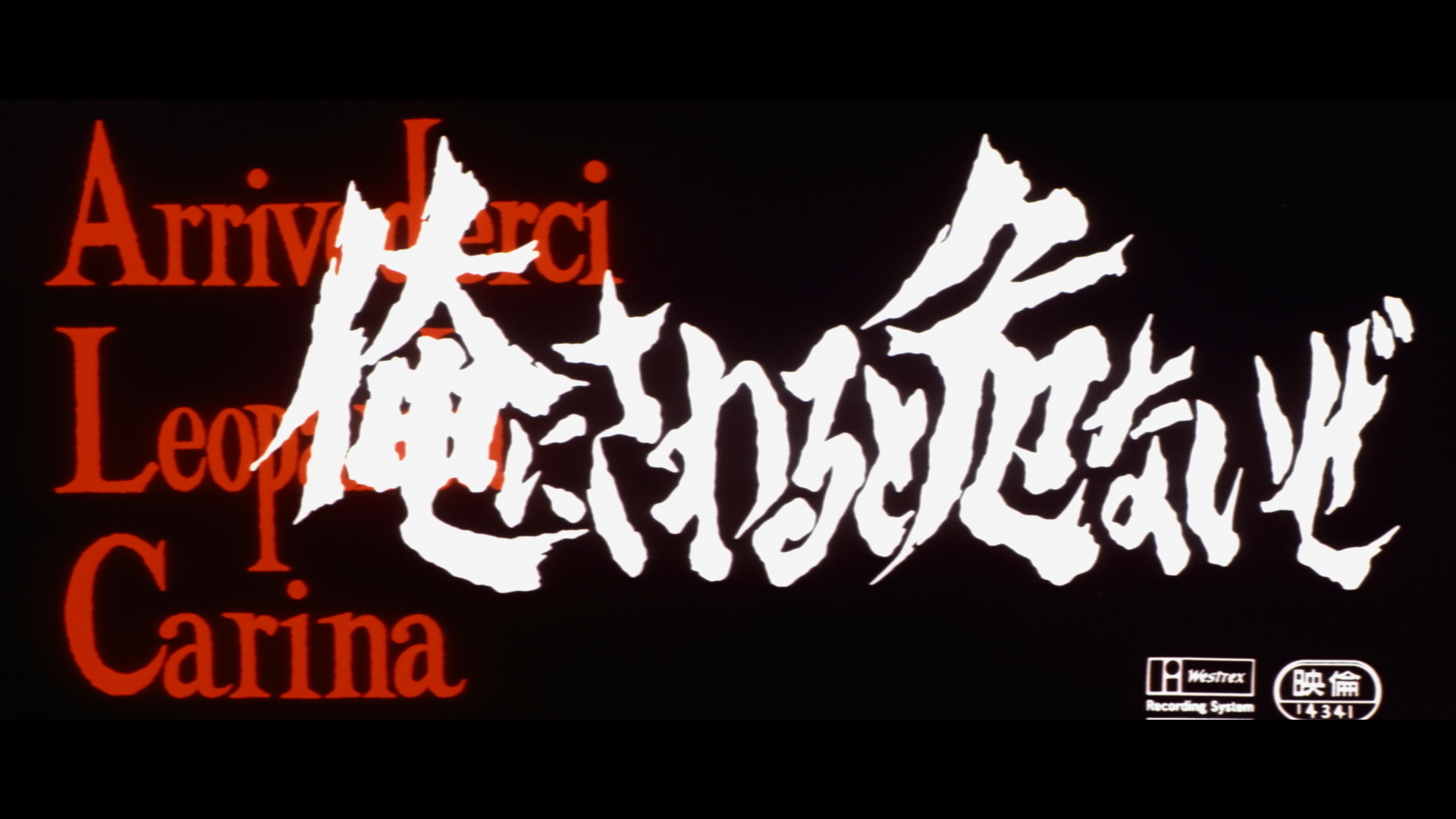 Black Tight Killers cap 1