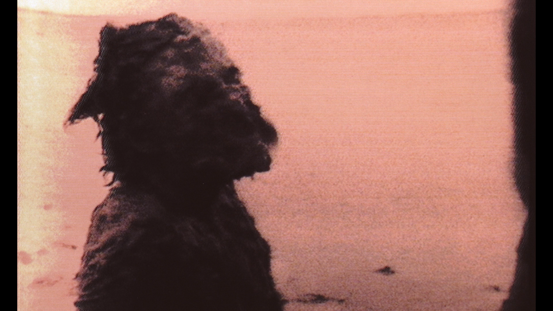 Viva la Muerte cap 5