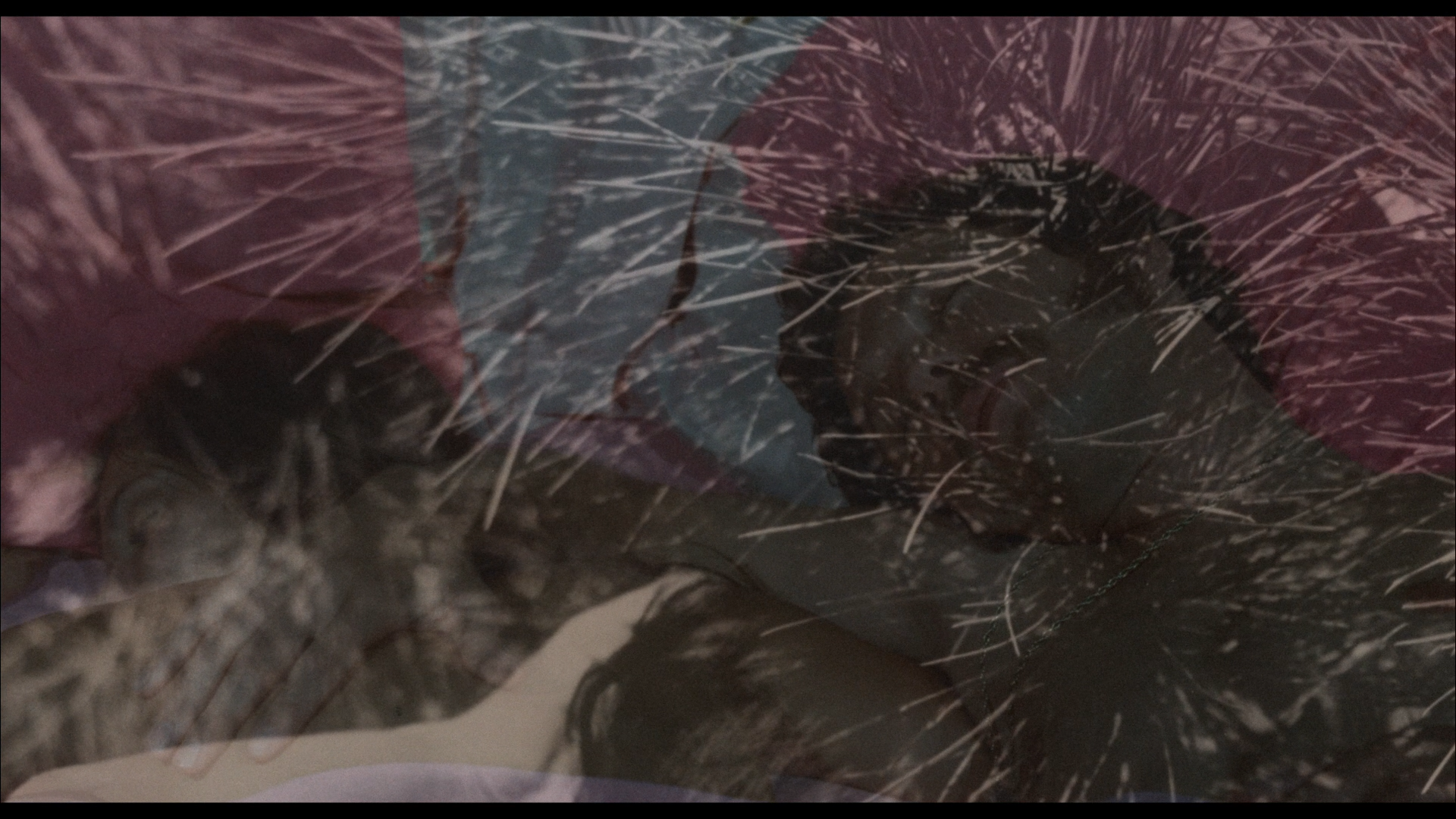 Hollywood 90028 cap 11