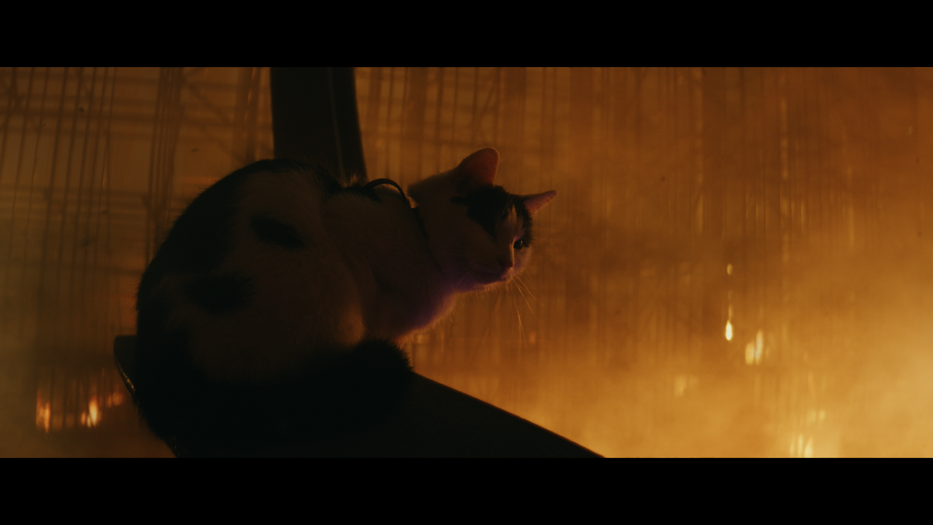 A Quiet Place: Day One 4K cap 5