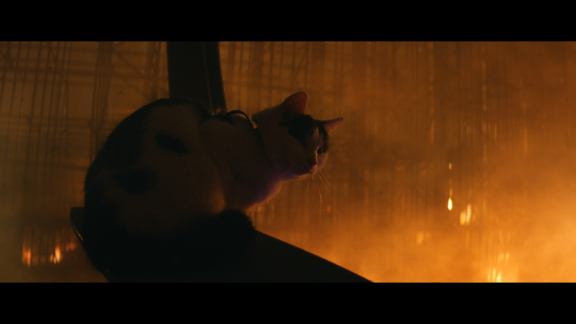 A Quiet Place: Day One Blu-ray cap 5