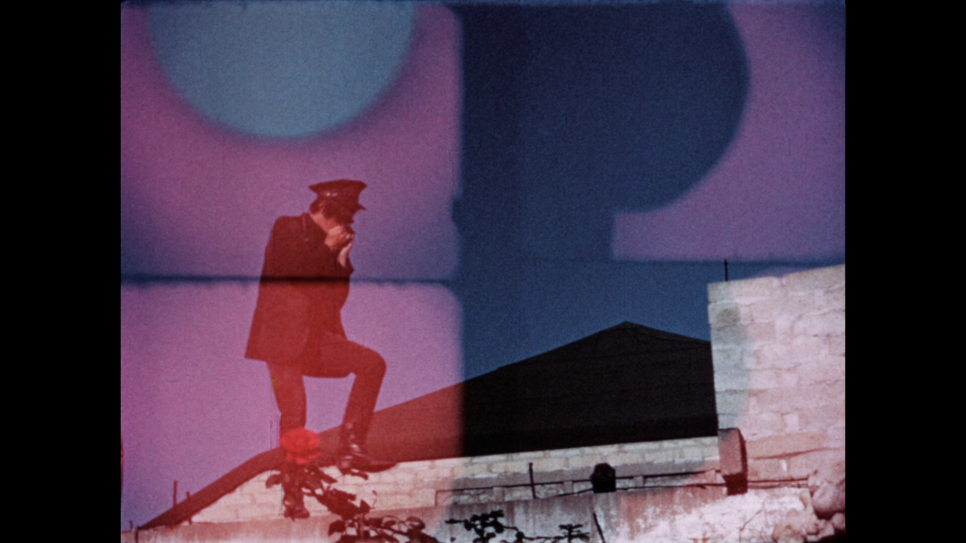 Hollywood 90028 4X8=16 short film