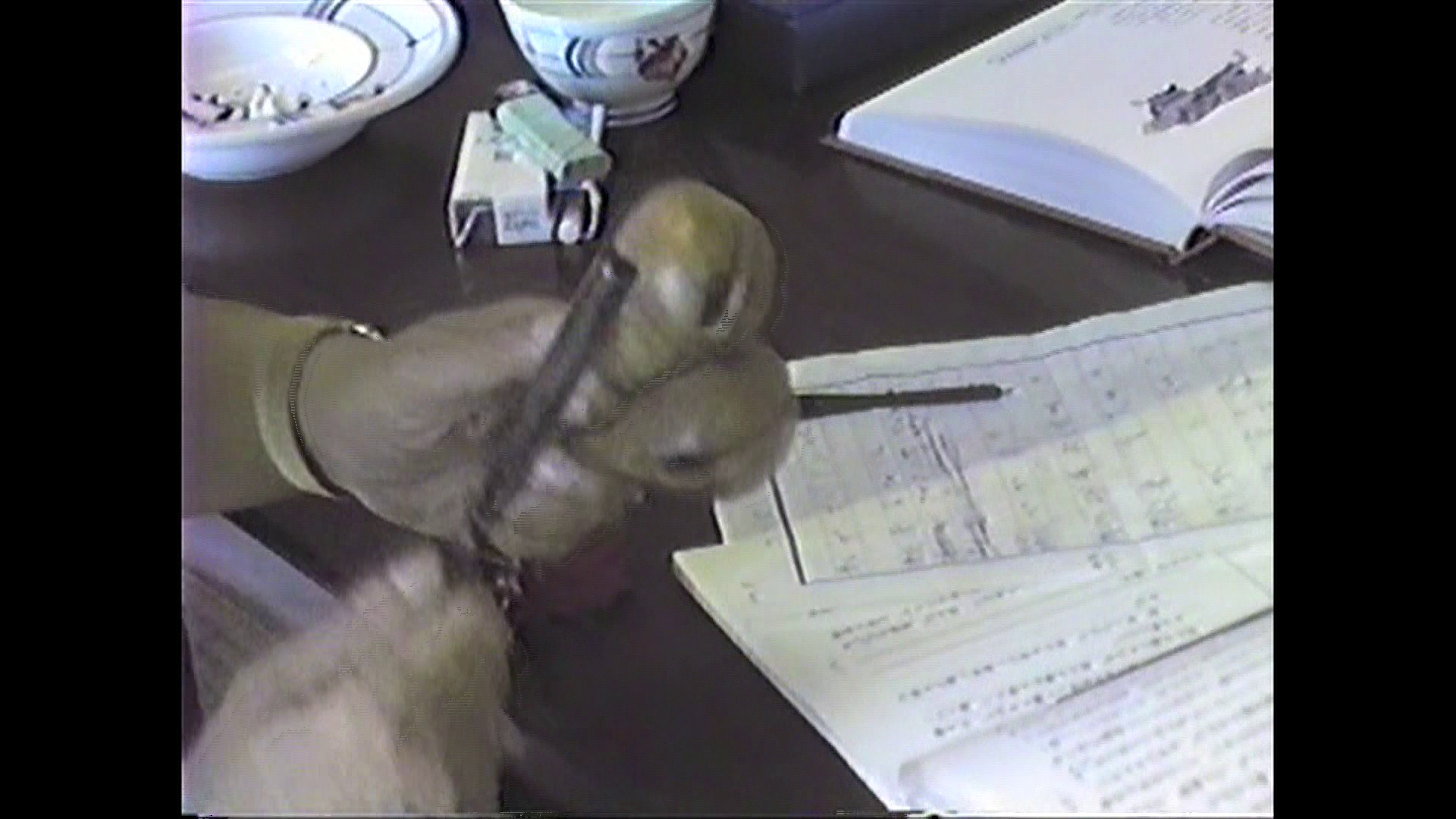 Dogra Magra Ahodra Sutra instructions