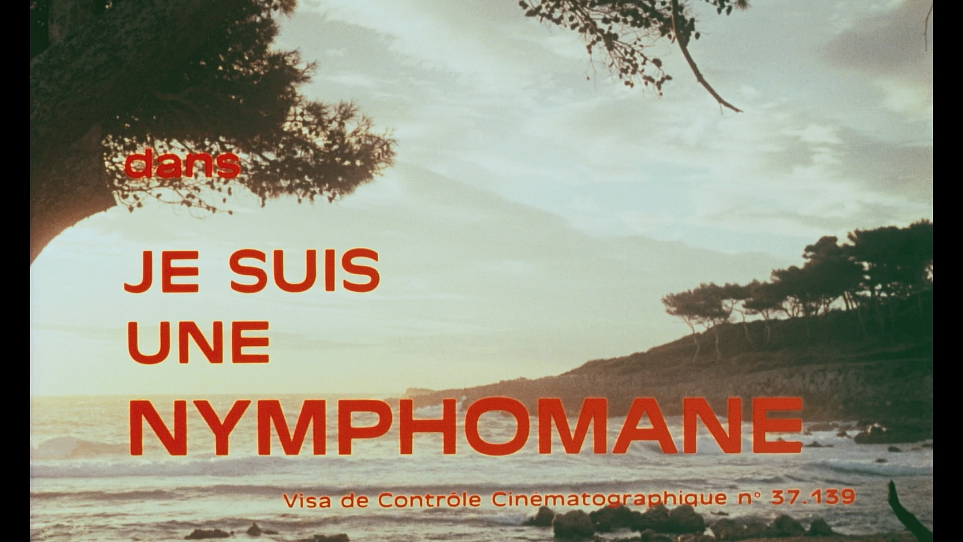 I Am a Nymphomaniac cap 1