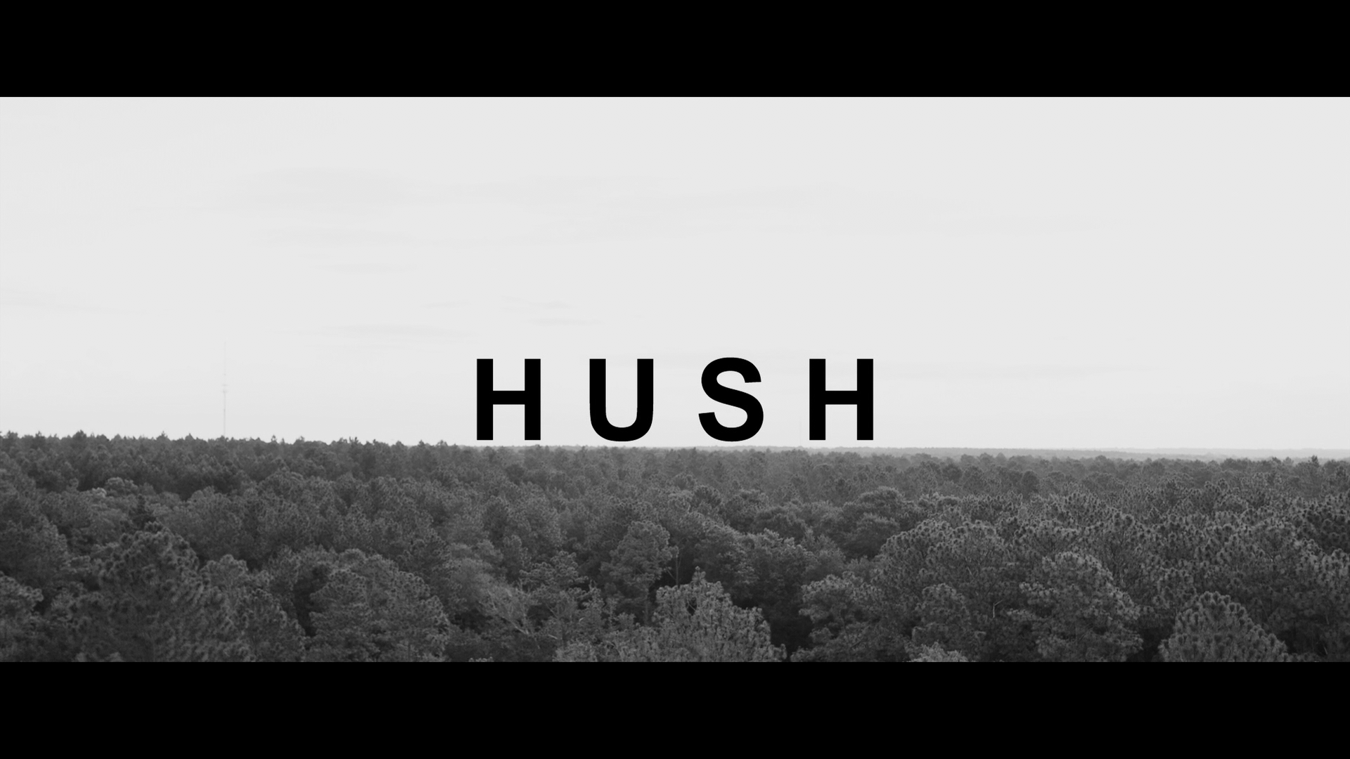 Hush Blu-ray Shush cut cap 1