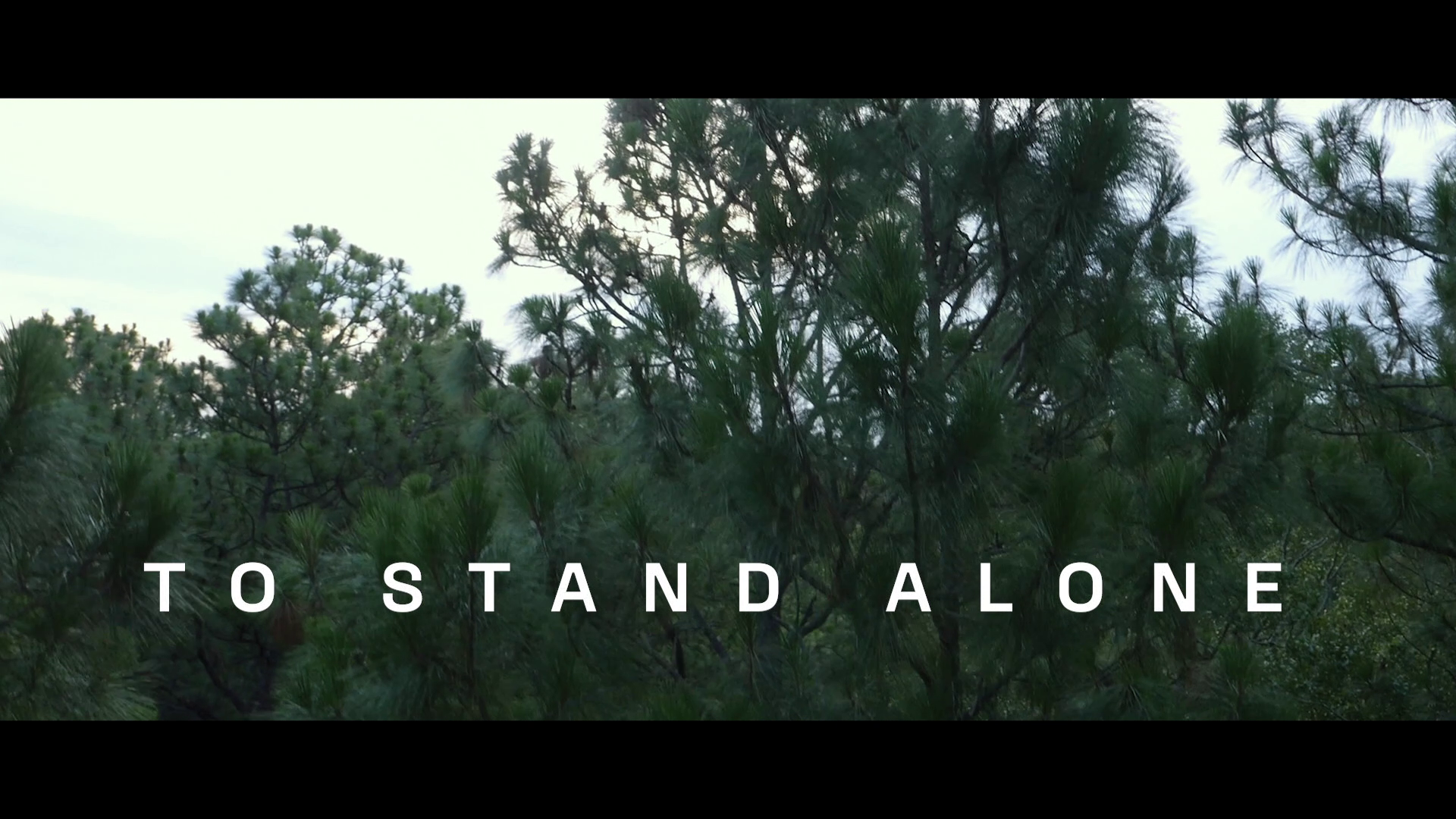 Hush 4K Kate Siegel interview