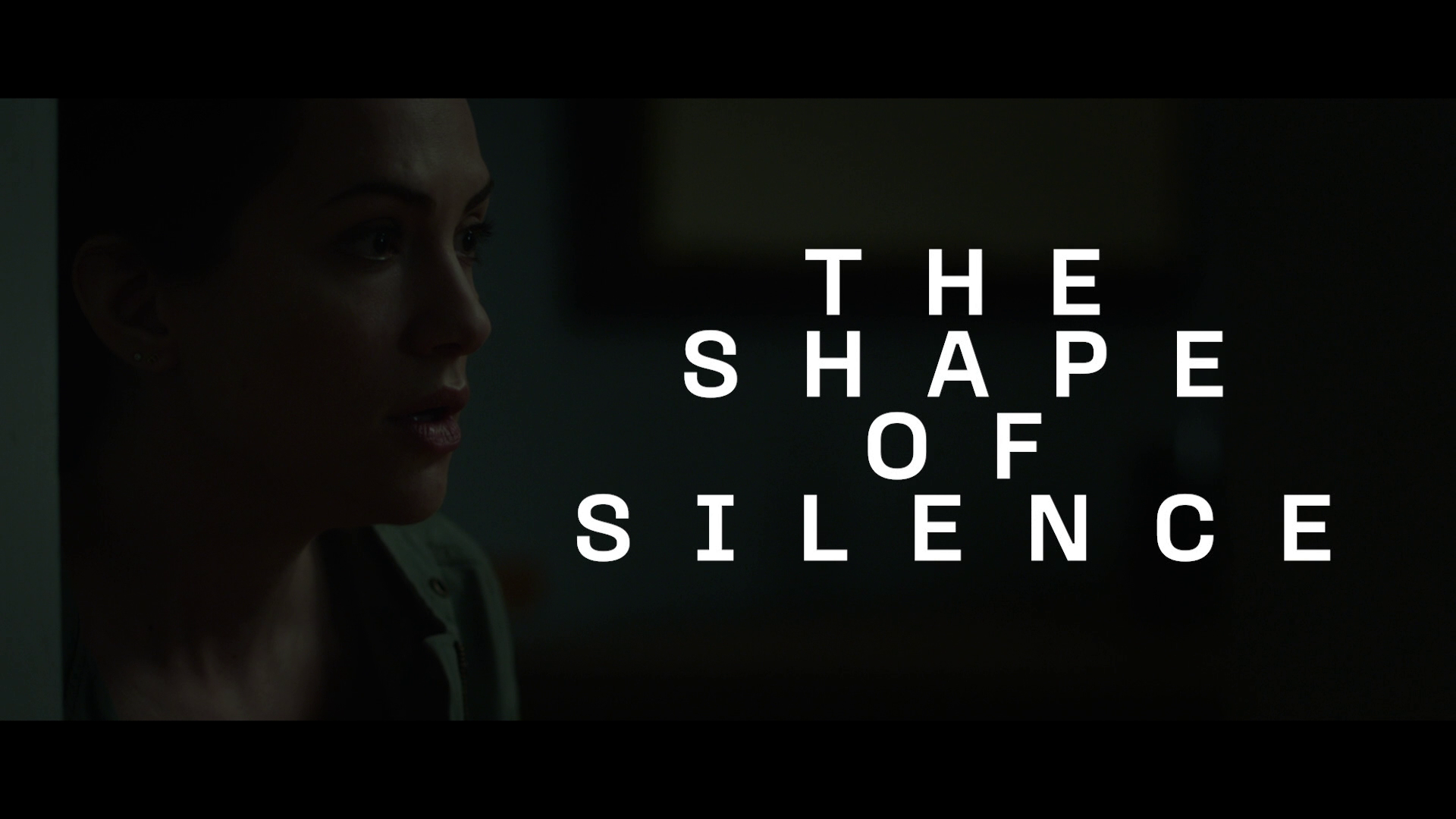 Hush 4K John Gallagher, Jr. interview