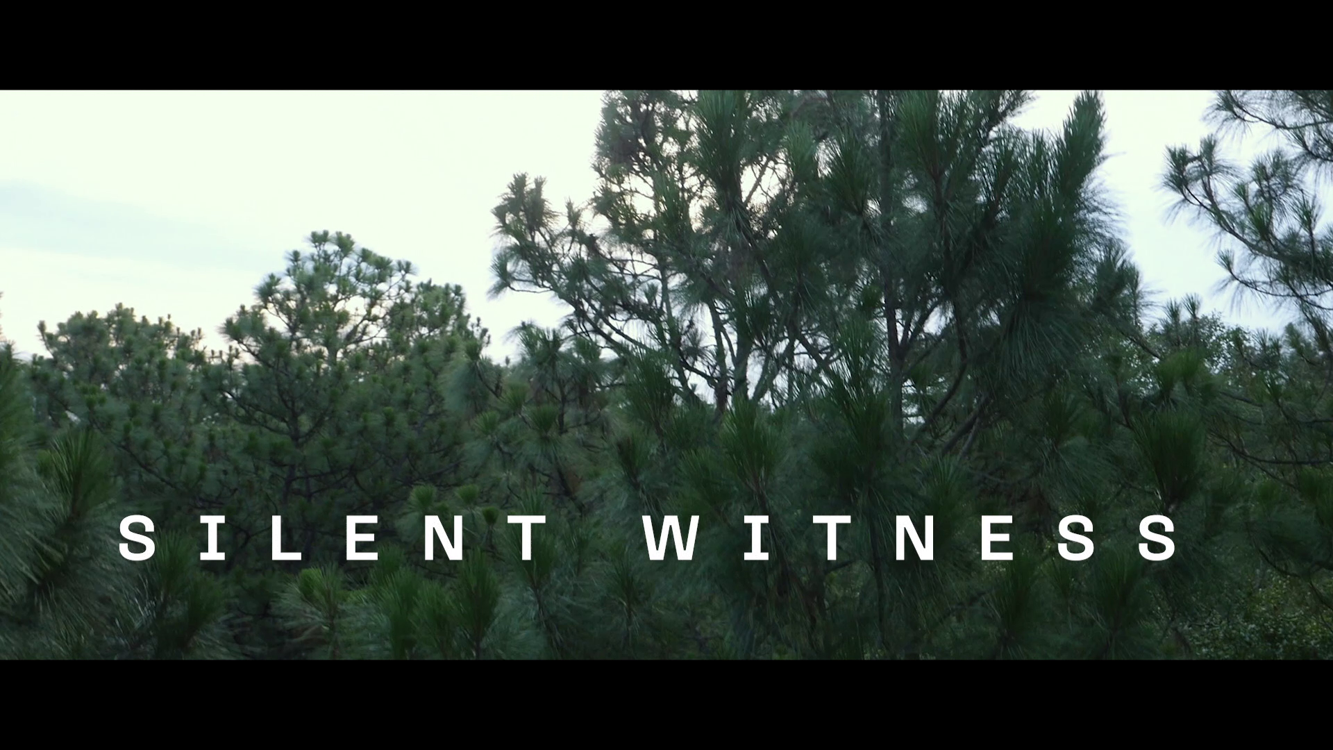 Hush 4K Michael Trucco interview