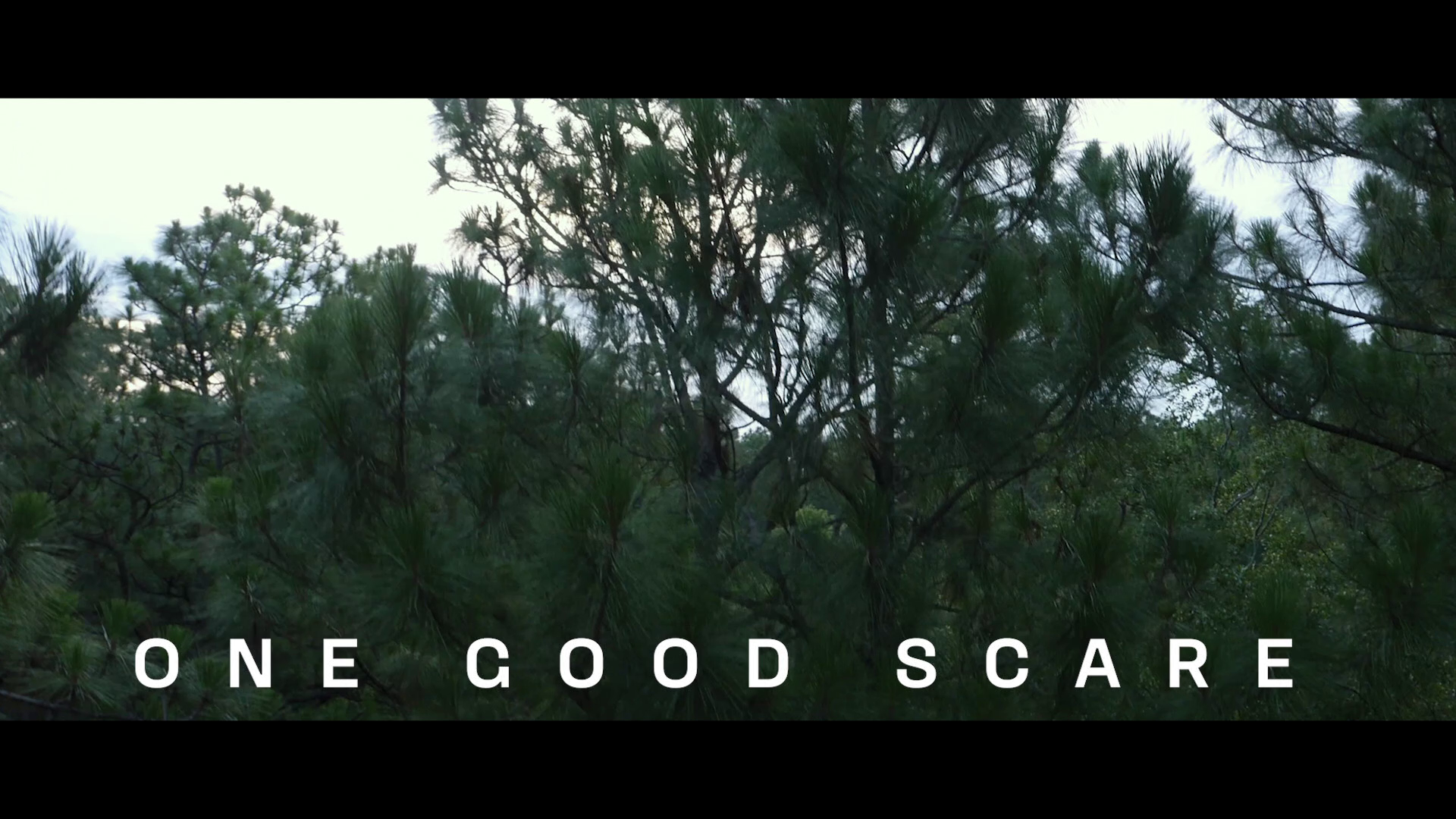 Hush 4K Trevor Macy interview