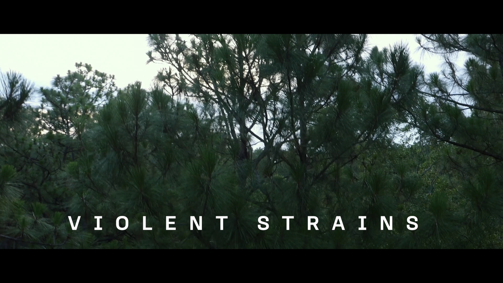 Hush 4K The Newton Brothers interview