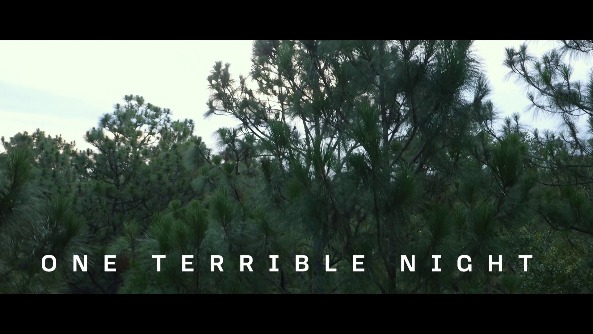 Hush 4K James Kniest interview